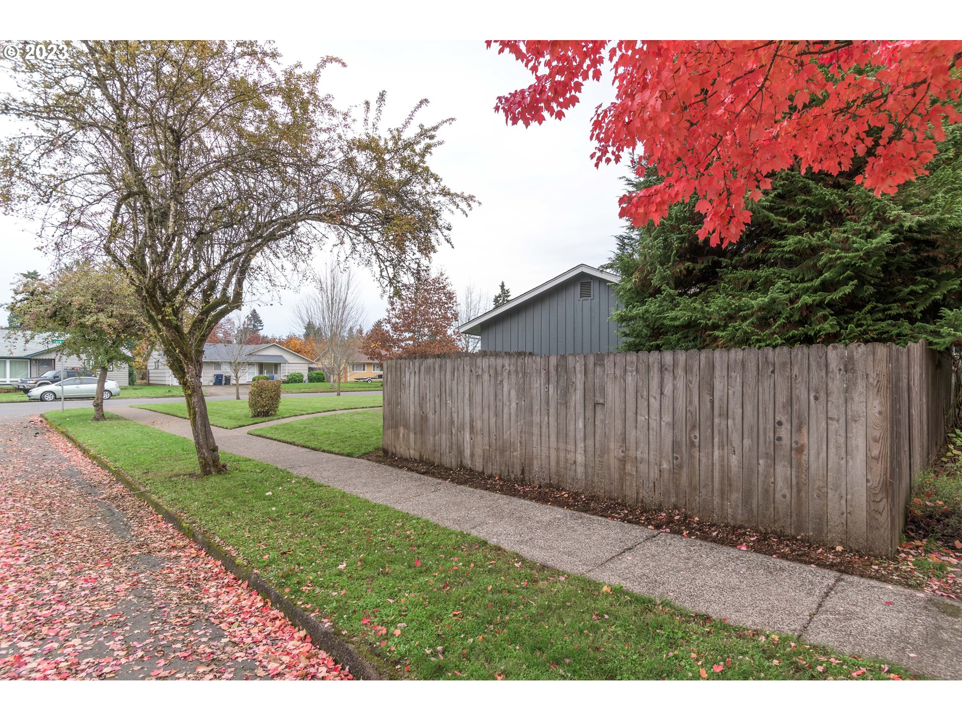 1730 Market Street Springfield, OR 97477 - Photo 42 of 43 a view of a backyard with trees