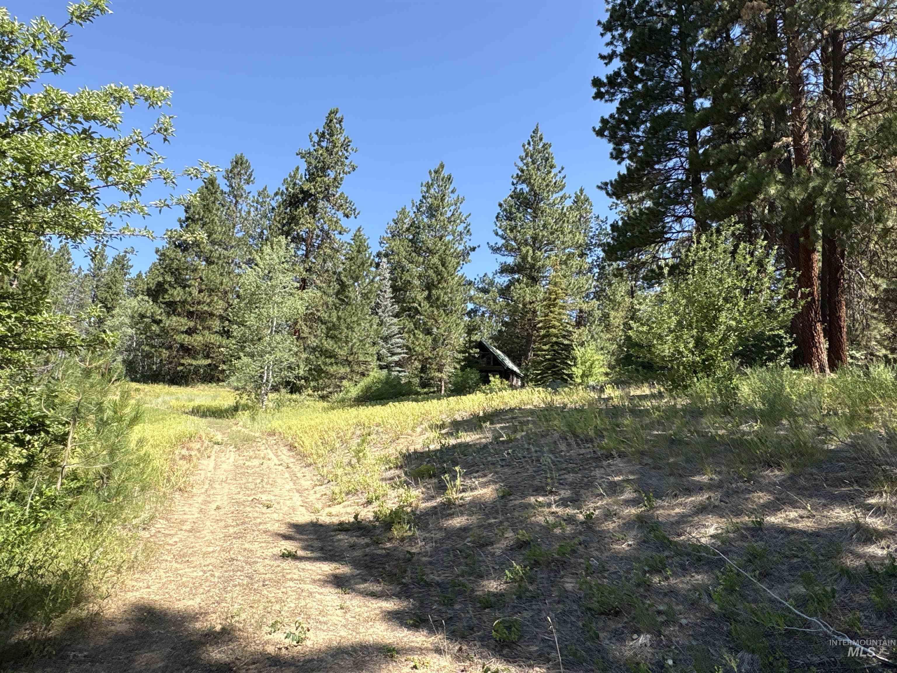 Tbd Smith Creek Road Mountain Home, ID 83647 - Photo 13 of 19