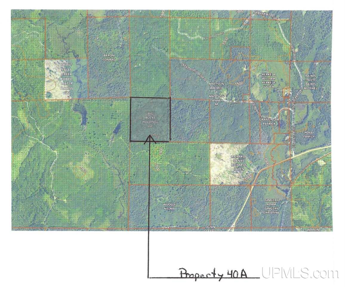Tbd Tbd Road Republic, MI 49879 - Photo 20 of 21