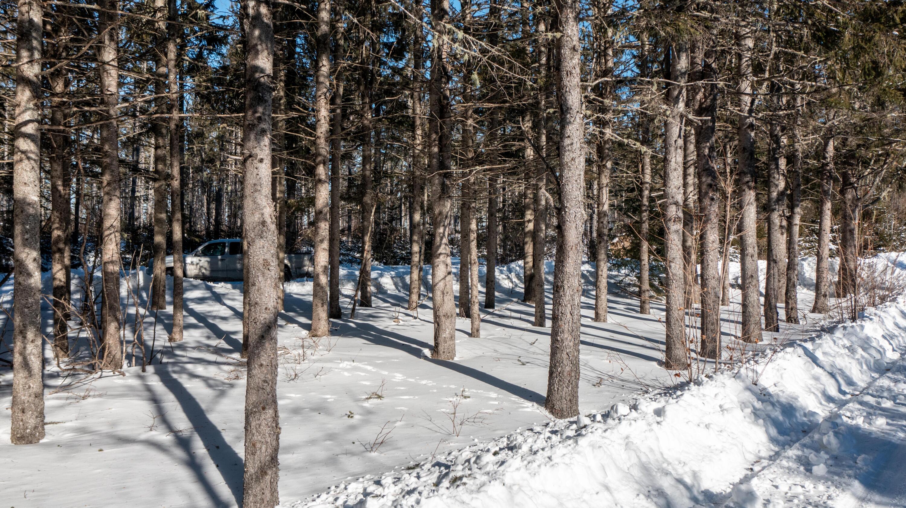 M6-l7 Retreat Road Island Falls, ME 04747 - Photo 10 of 15 Red Pines Retreat (11 of 28)