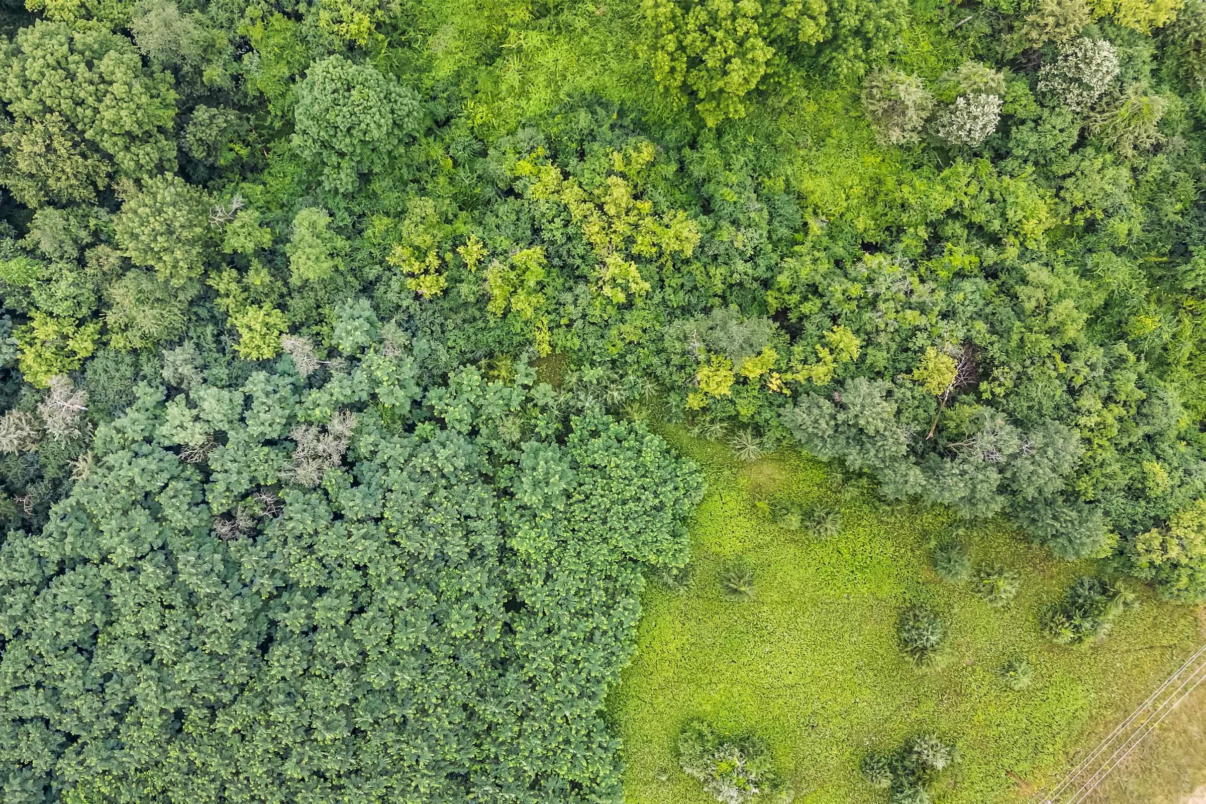 100 Highway 23 Green Lake, WI 54941 - Photo 13 of 59