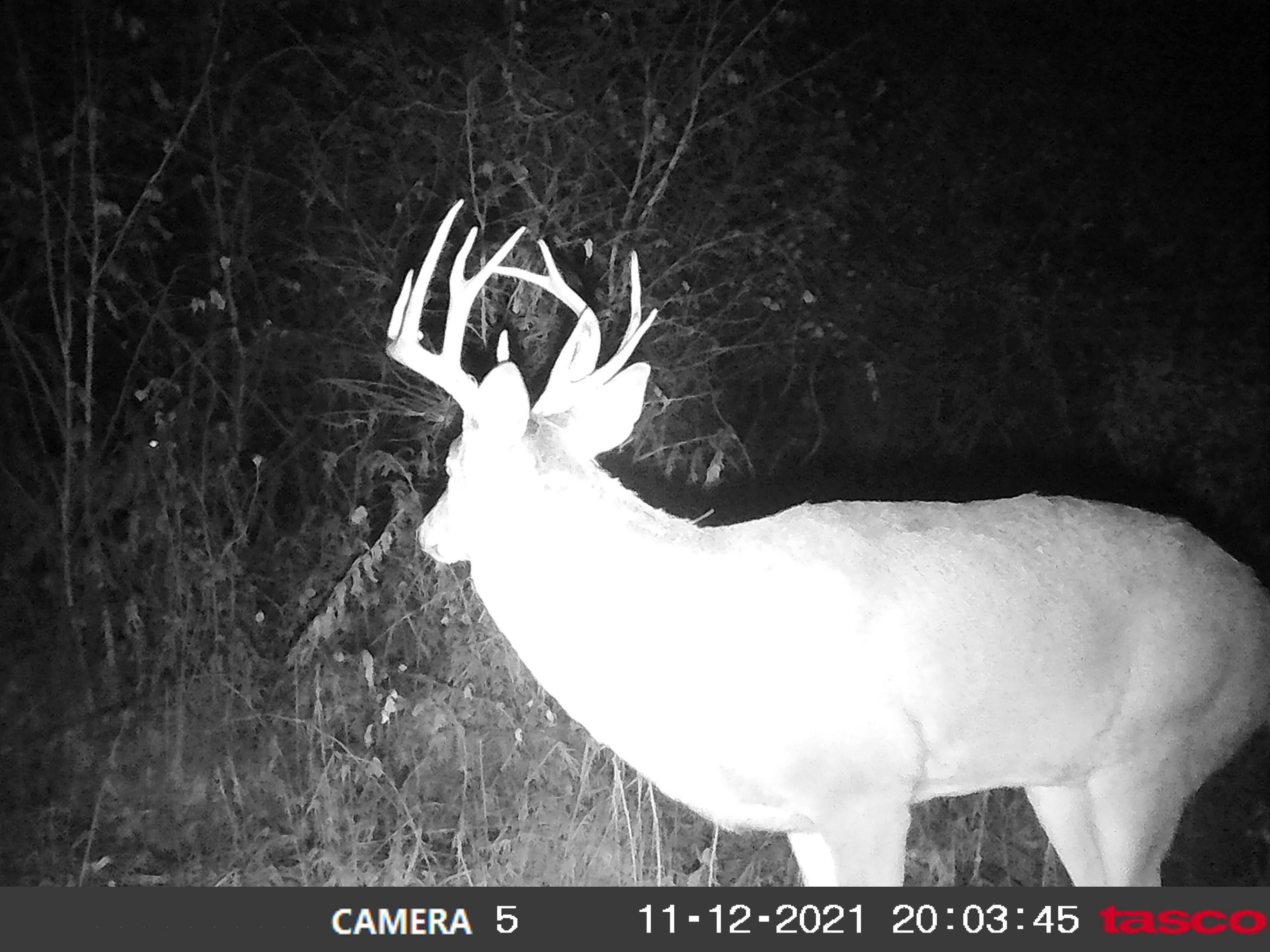 100 Highway 23 Green Lake, WI 54941 - Photo 18 of 59