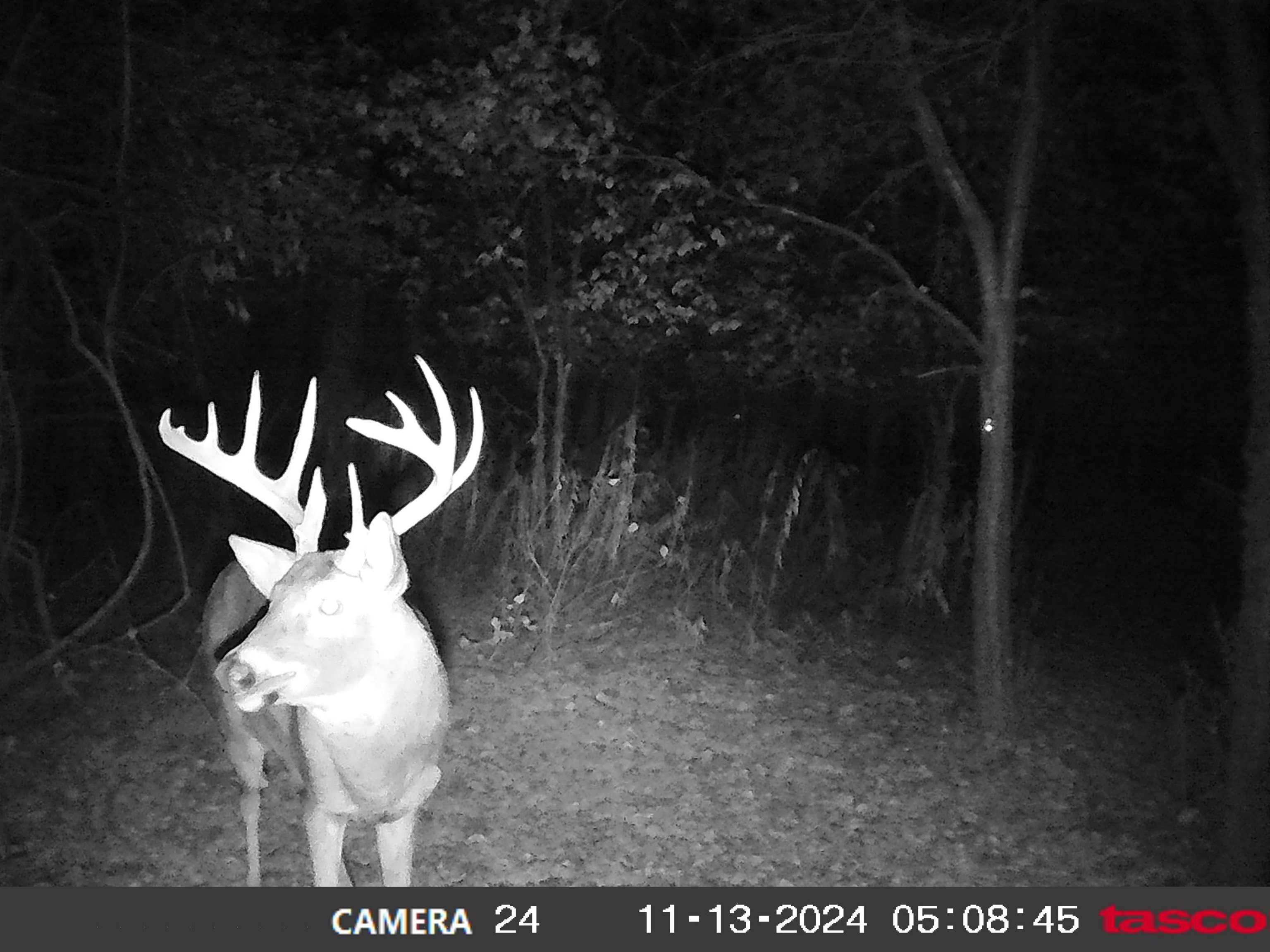 100 Highway 23 Green Lake, WI 54941 - Photo 19 of 59