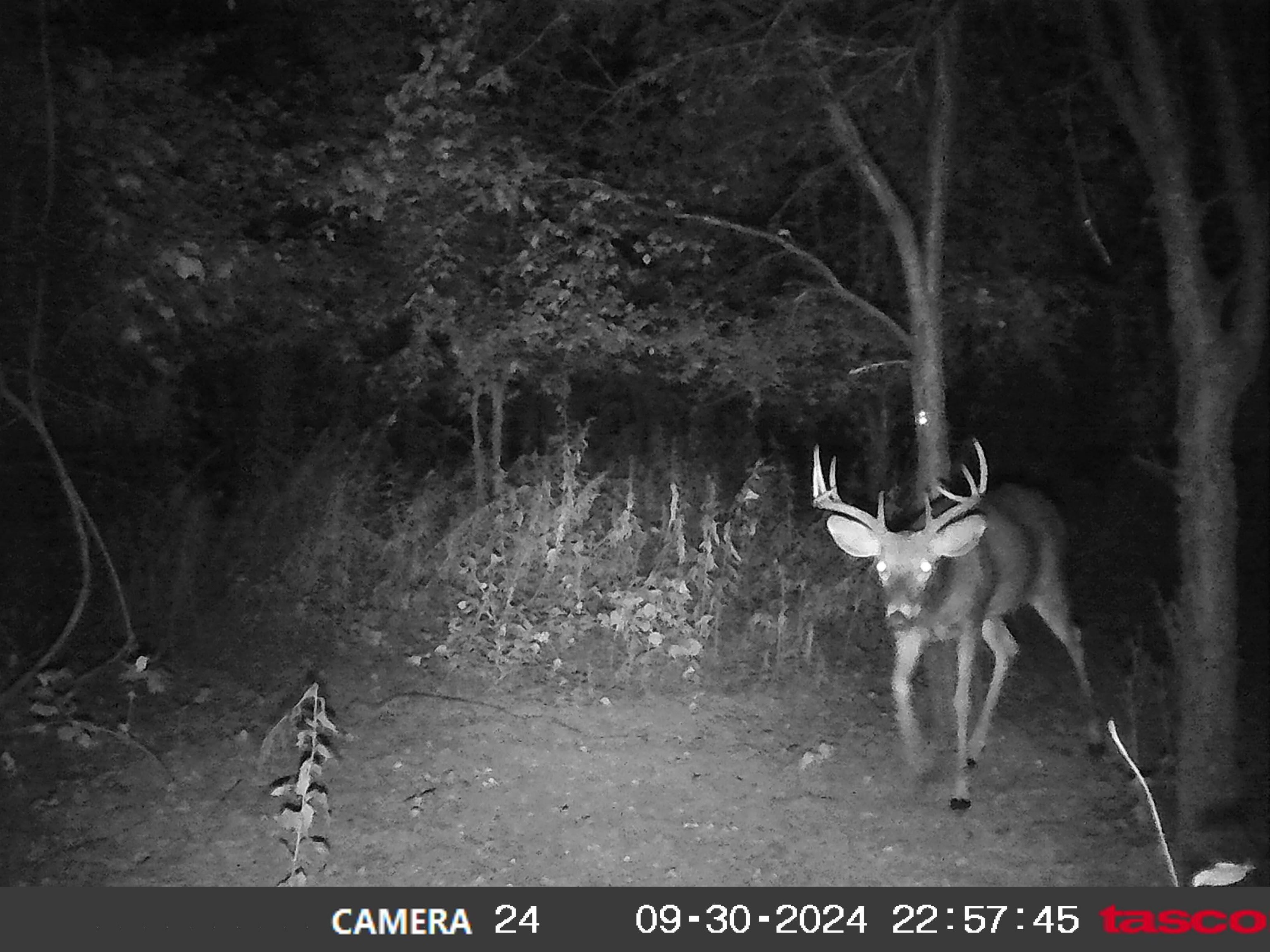 100 Highway 23 Green Lake, WI 54941 - Photo 20 of 59