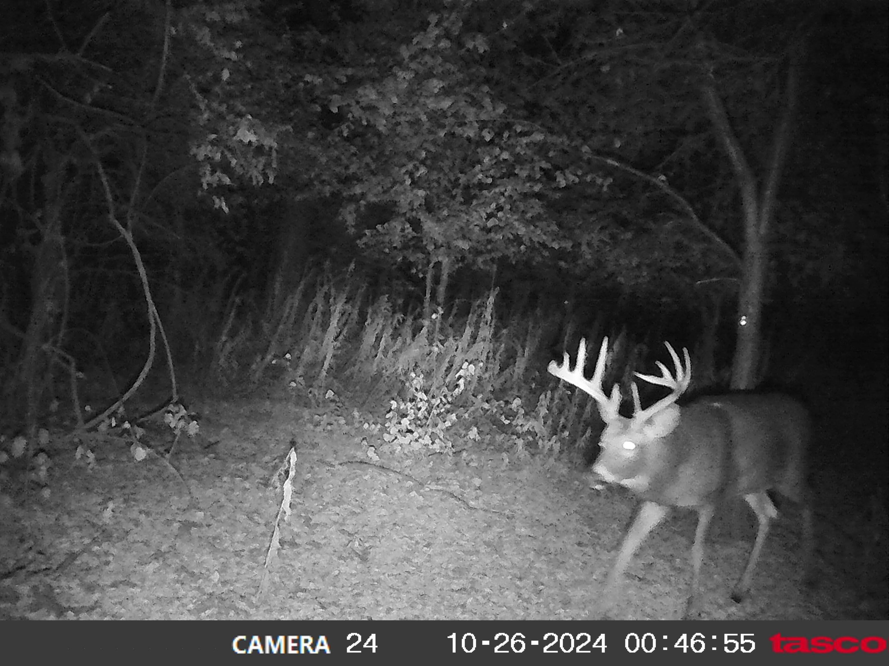 100 Highway 23 Green Lake, WI 54941 - Photo 21 of 59