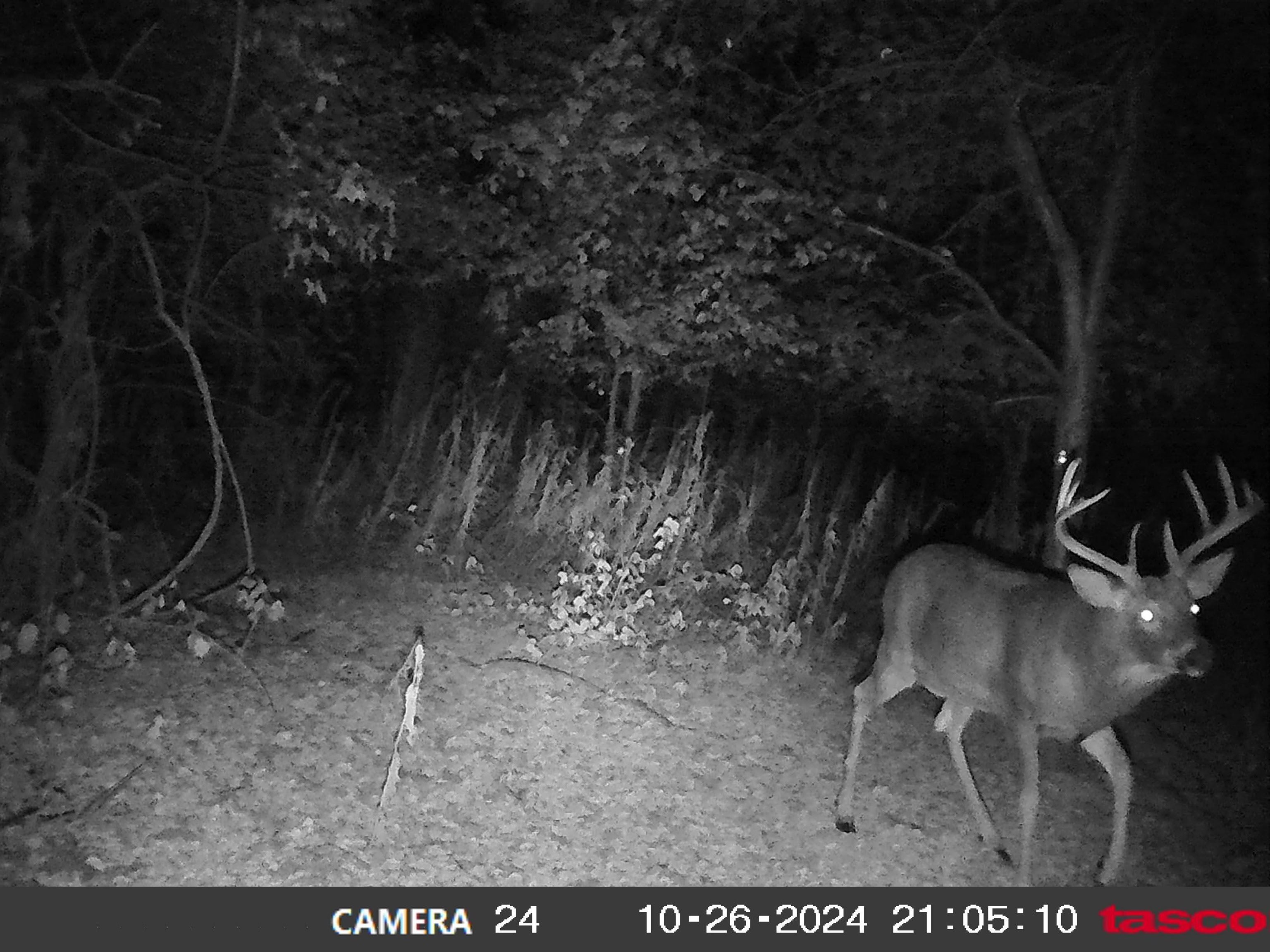 100 Highway 23 Green Lake, WI 54941 - Photo 22 of 59