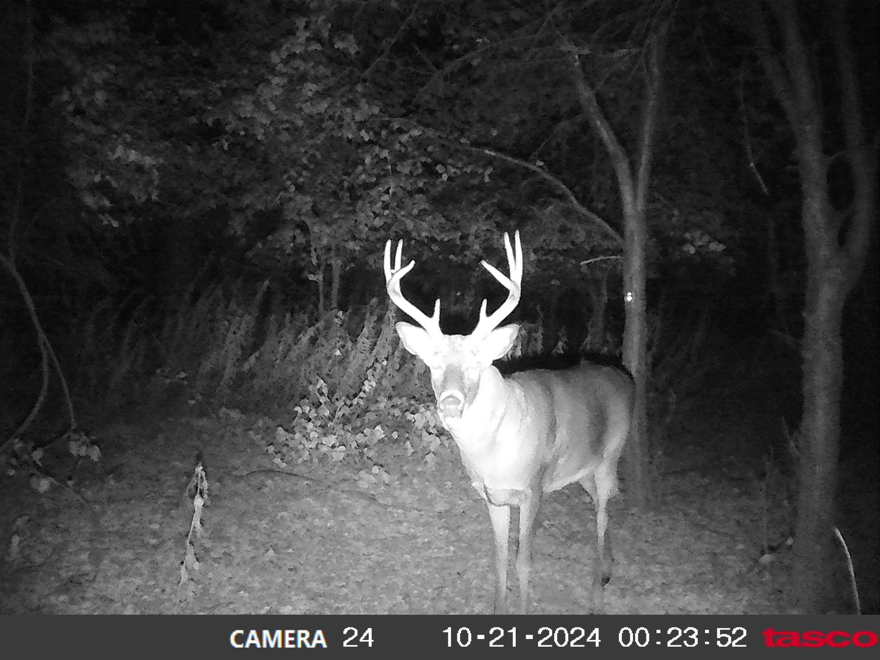 100 Highway 23 Green Lake, WI 54941 - Photo 23 of 59