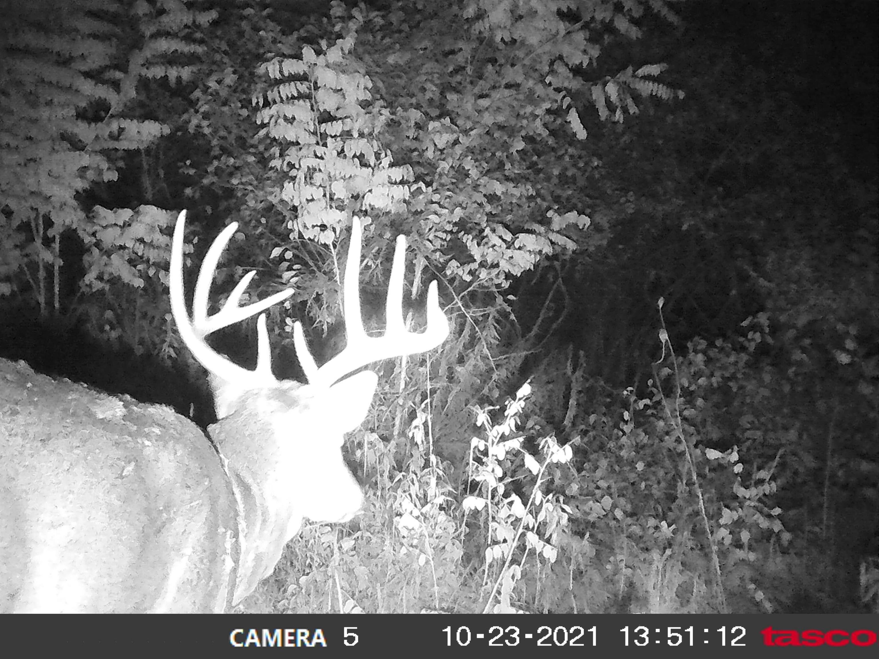 100 Highway 23 Green Lake, WI 54941 - Photo 24 of 59