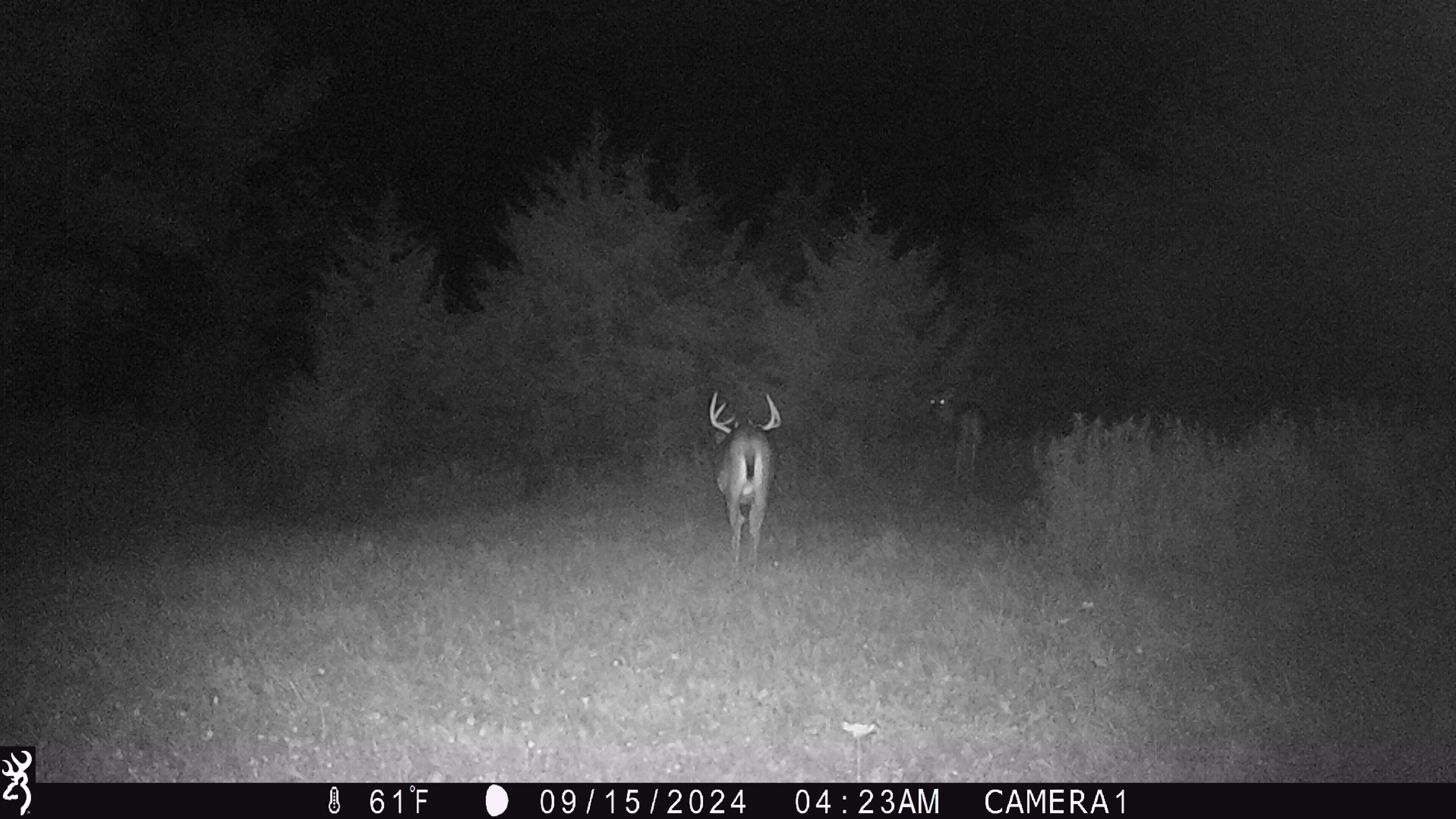 100 Highway 23 Green Lake, WI 54941 - Photo 26 of 59