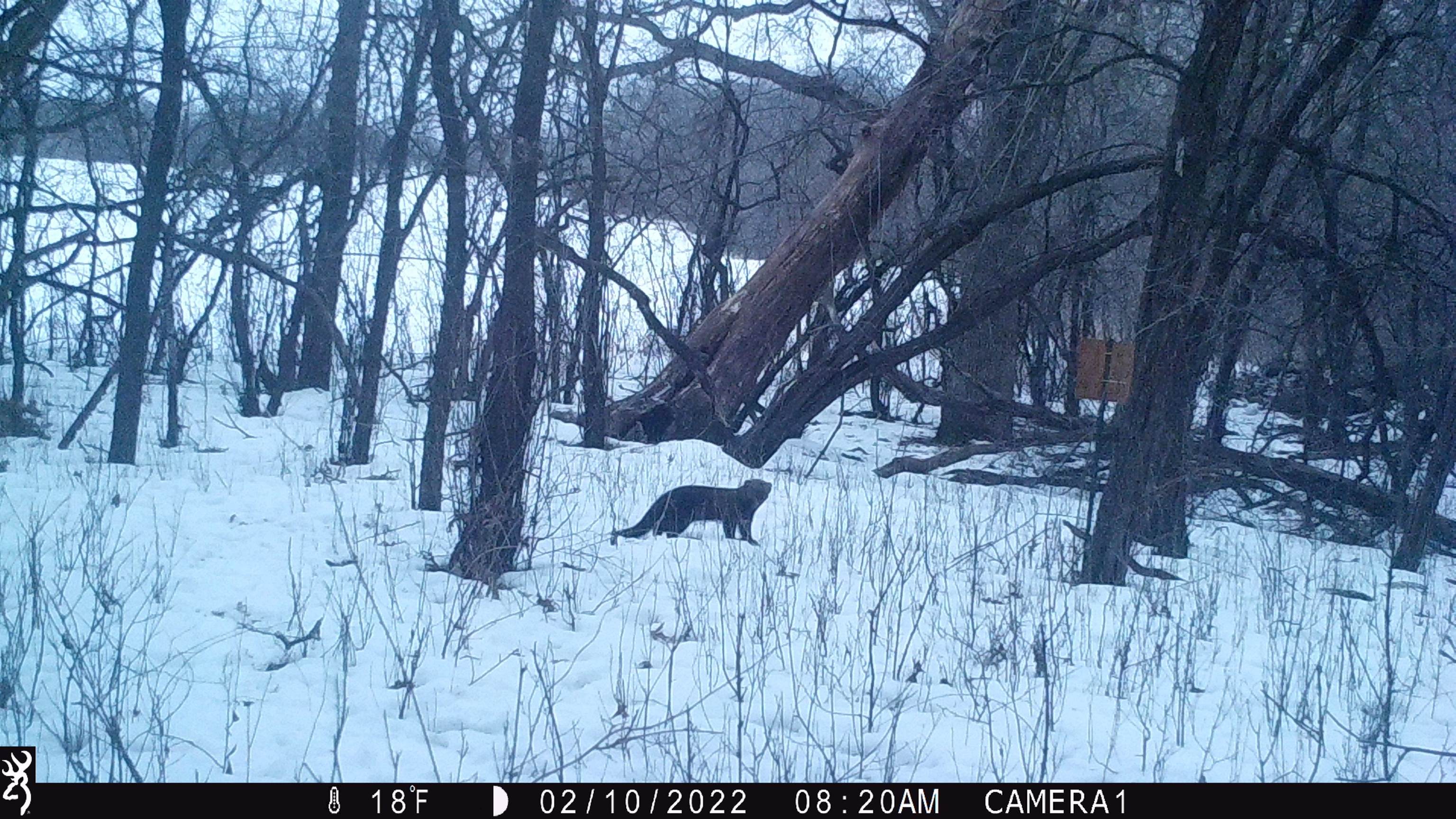 100 Highway 23 Green Lake, WI 54941 - Photo 27 of 59