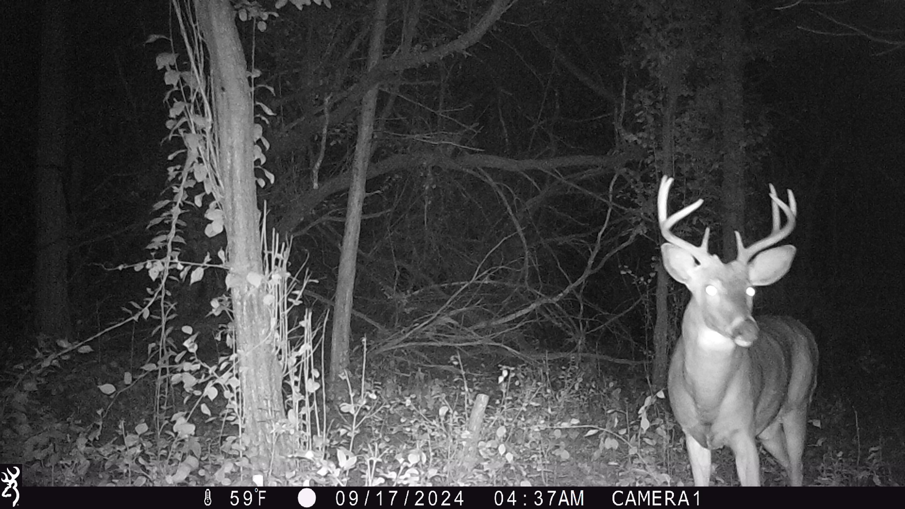 100 Highway 23 Green Lake, WI 54941 - Photo 28 of 59