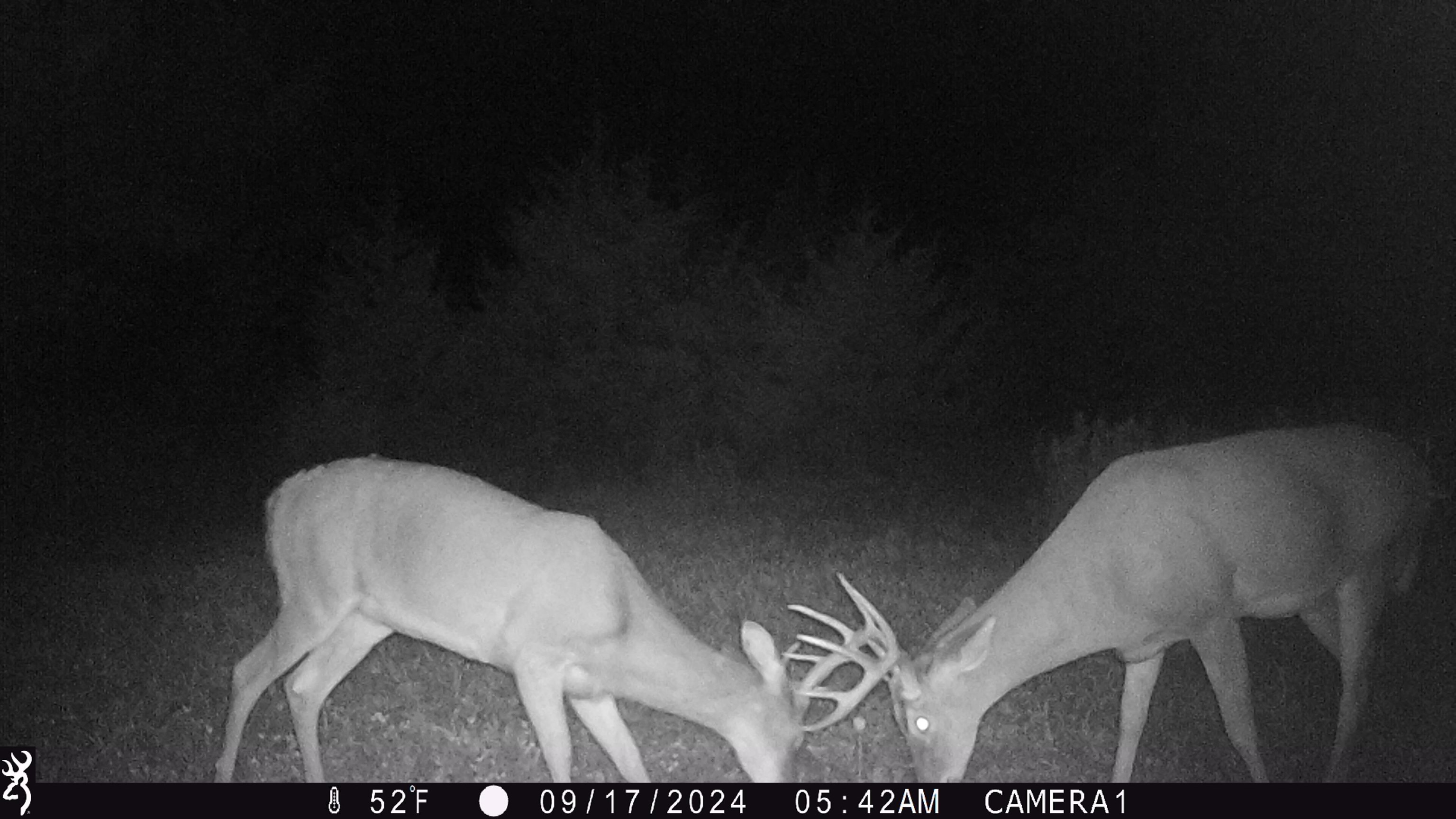 100 Highway 23 Green Lake, WI 54941 - Photo 29 of 59