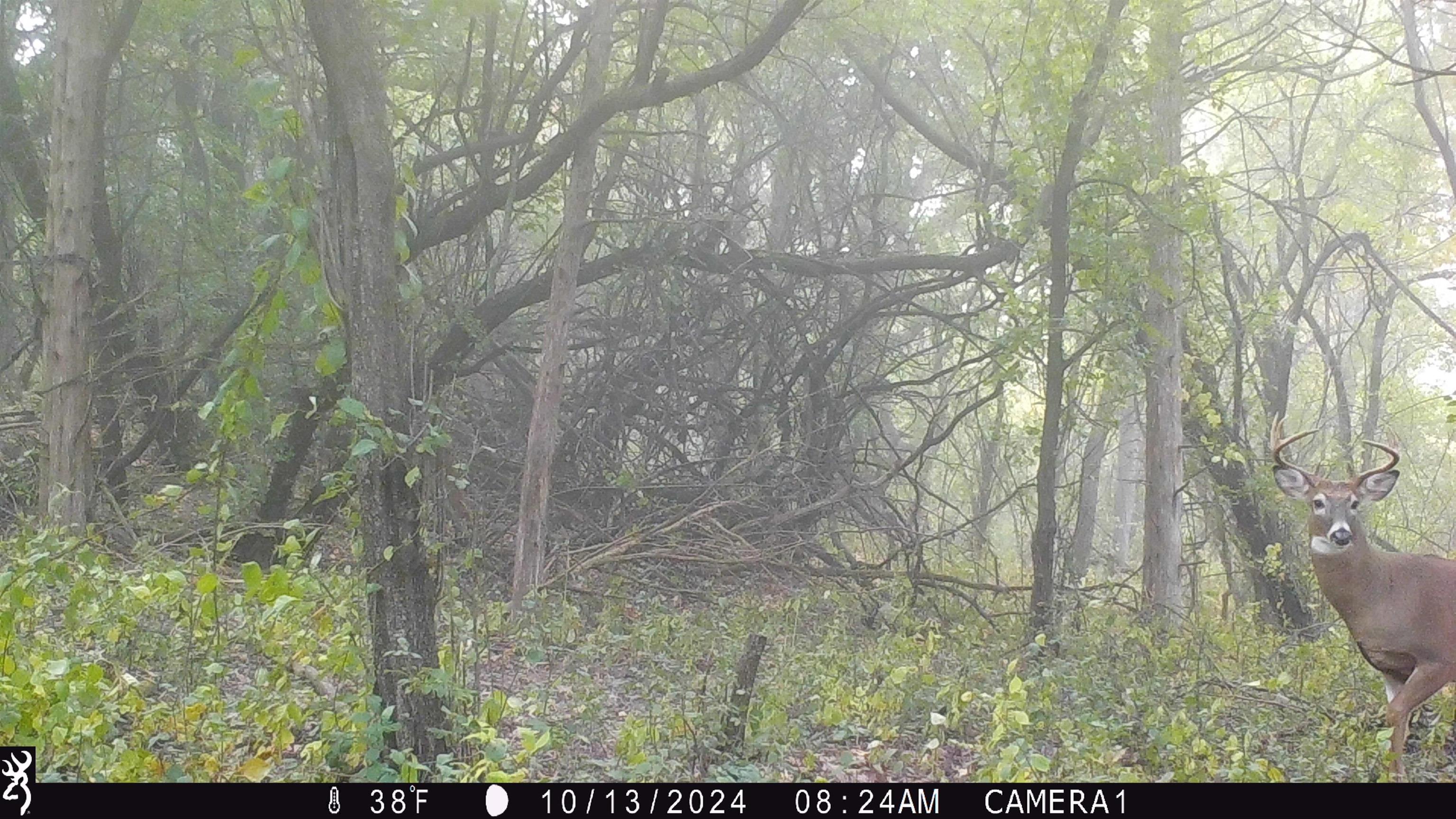 100 Highway 23 Green Lake, WI 54941 - Photo 30 of 59