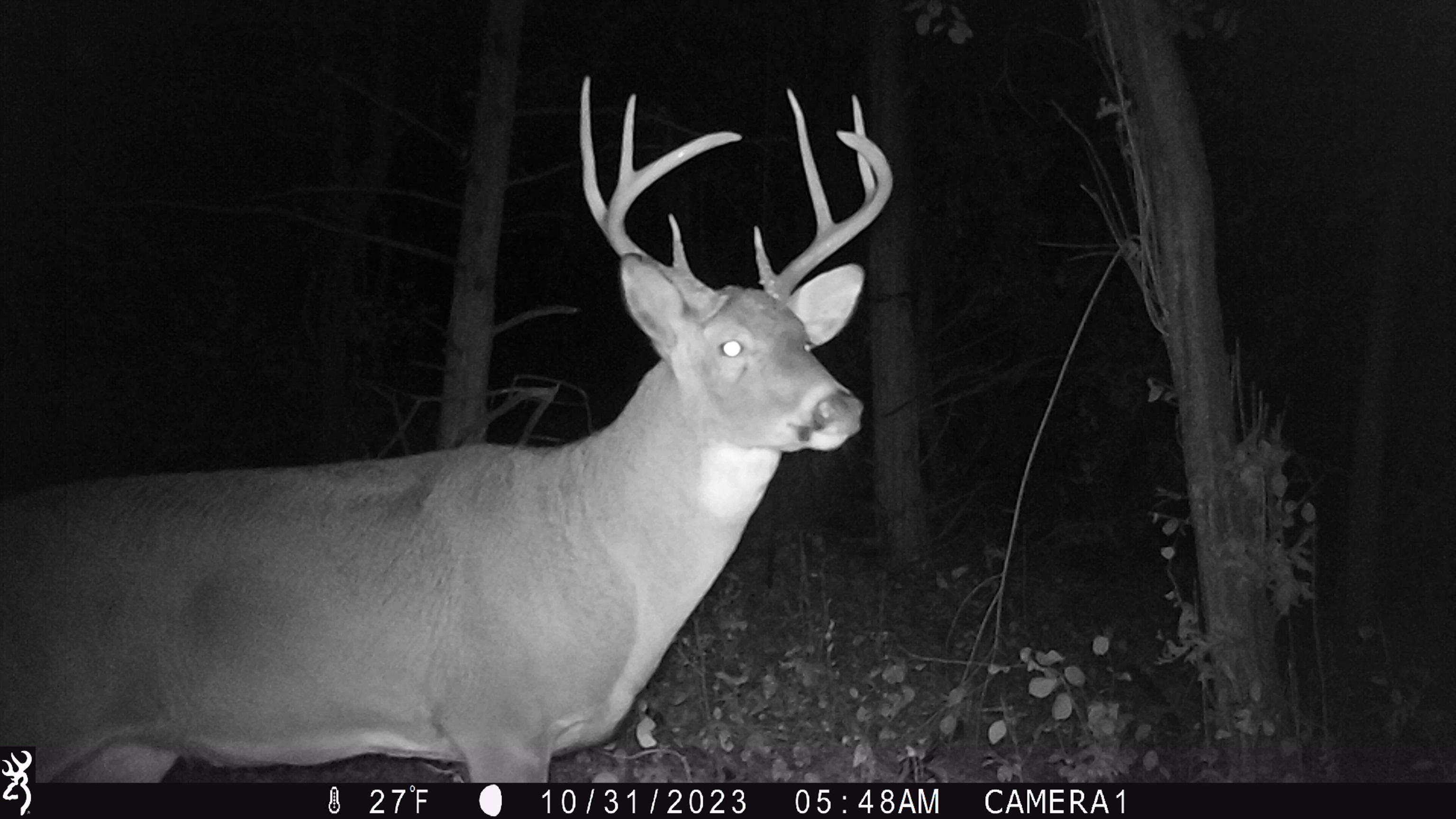 100 Highway 23 Green Lake, WI 54941 - Photo 31 of 59