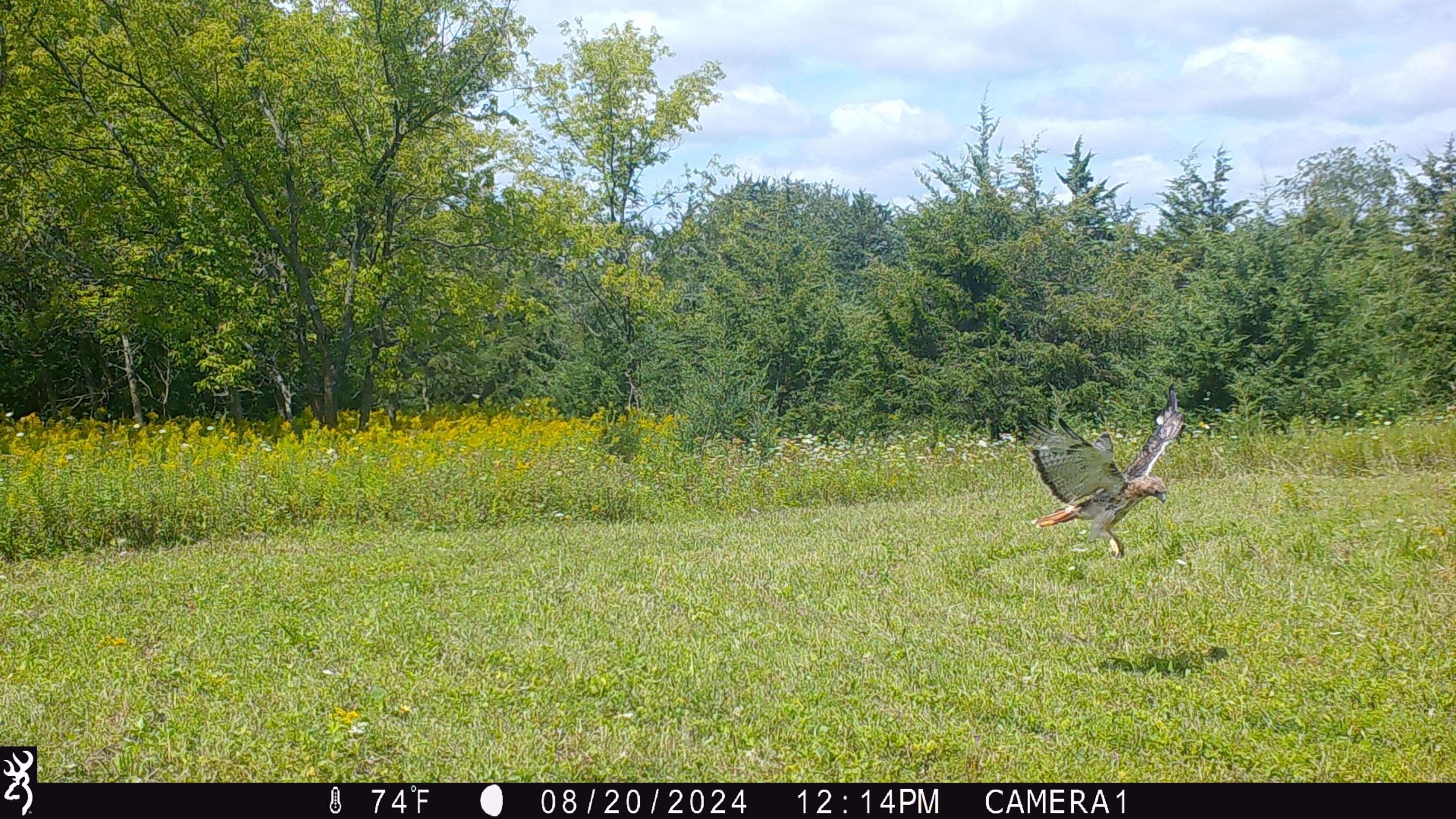 100 Highway 23 Green Lake, WI 54941 - Photo 32 of 59