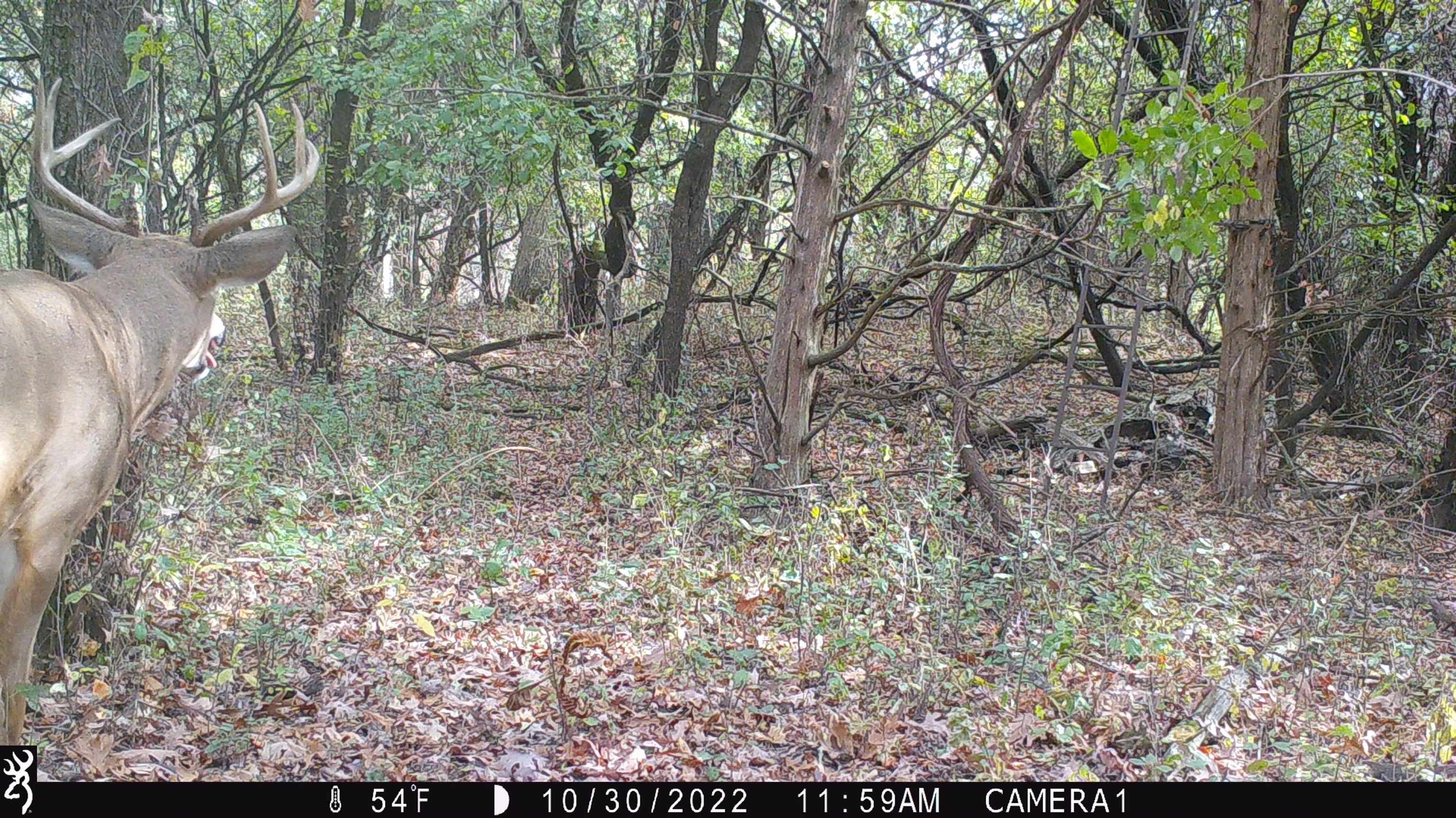 100 Highway 23 Green Lake, WI 54941 - Photo 33 of 59