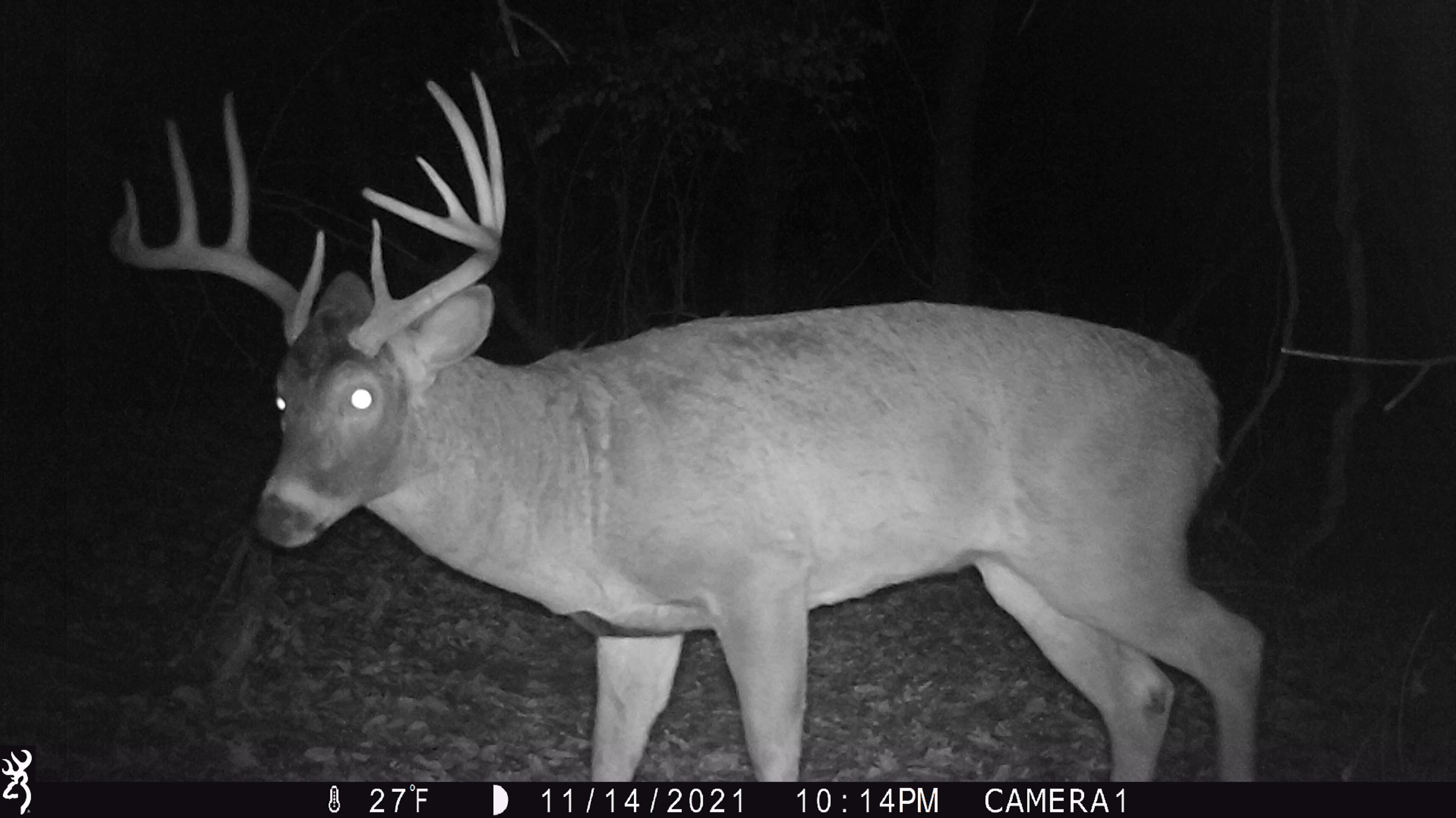 100 Highway 23 Green Lake, WI 54941 - Photo 35 of 59