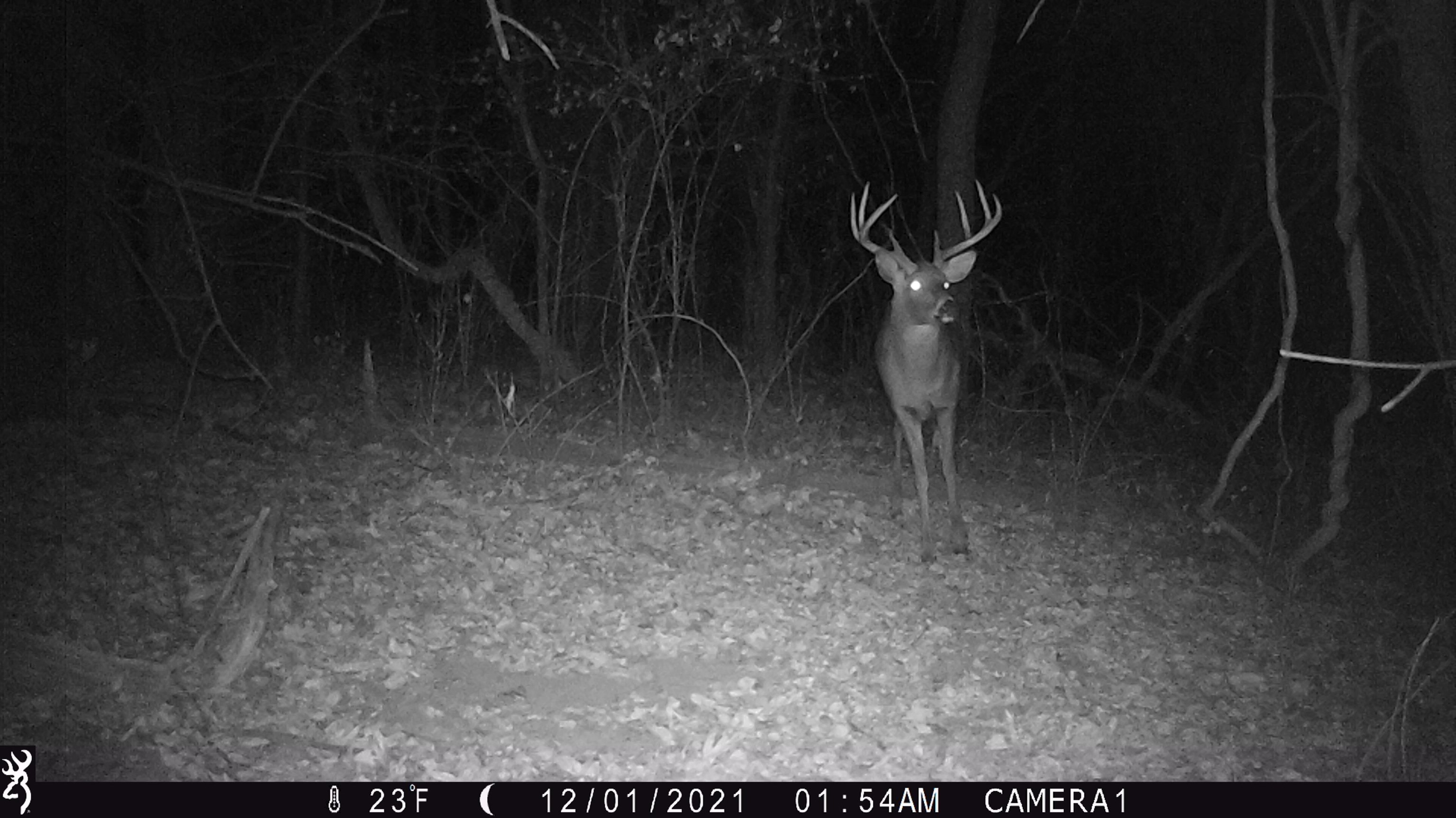 100 Highway 23 Green Lake, WI 54941 - Photo 36 of 59