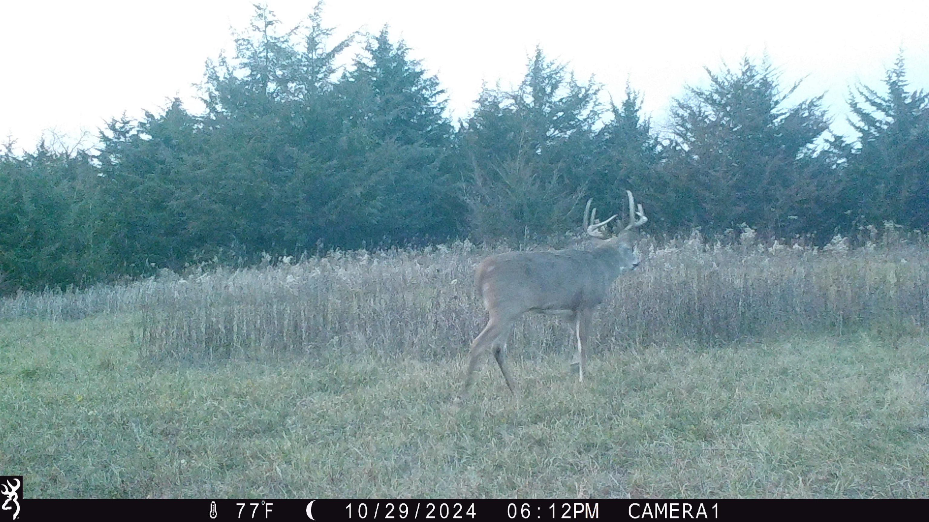 100 Highway 23 Green Lake, WI 54941 - Photo 37 of 59