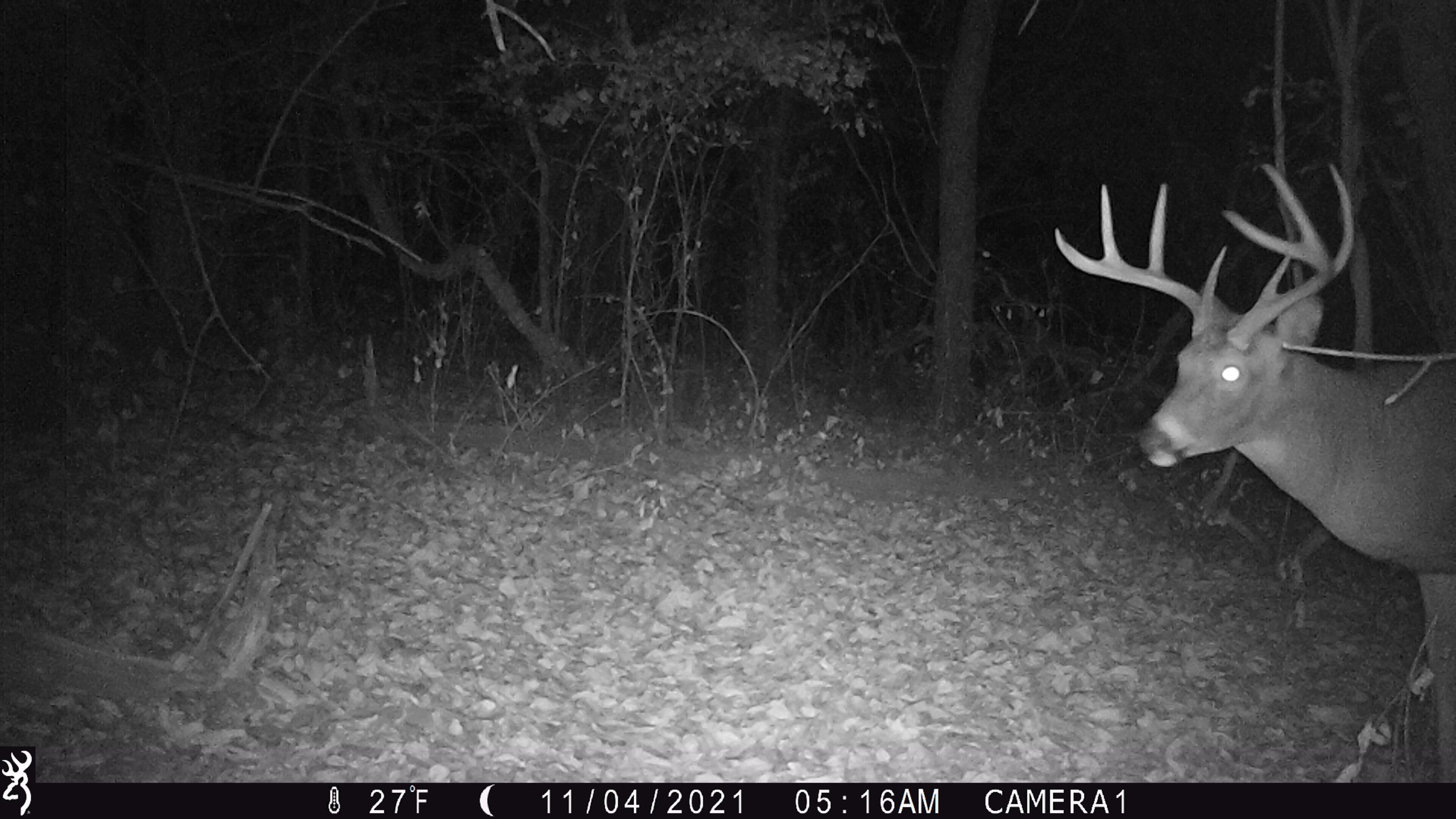 100 Highway 23 Green Lake, WI 54941 - Photo 38 of 59