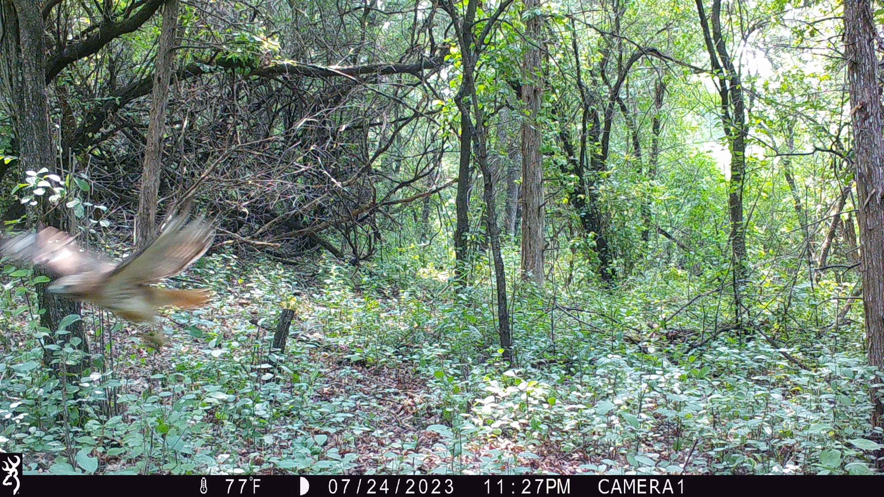 100 Highway 23 Green Lake, WI 54941 - Photo 39 of 59