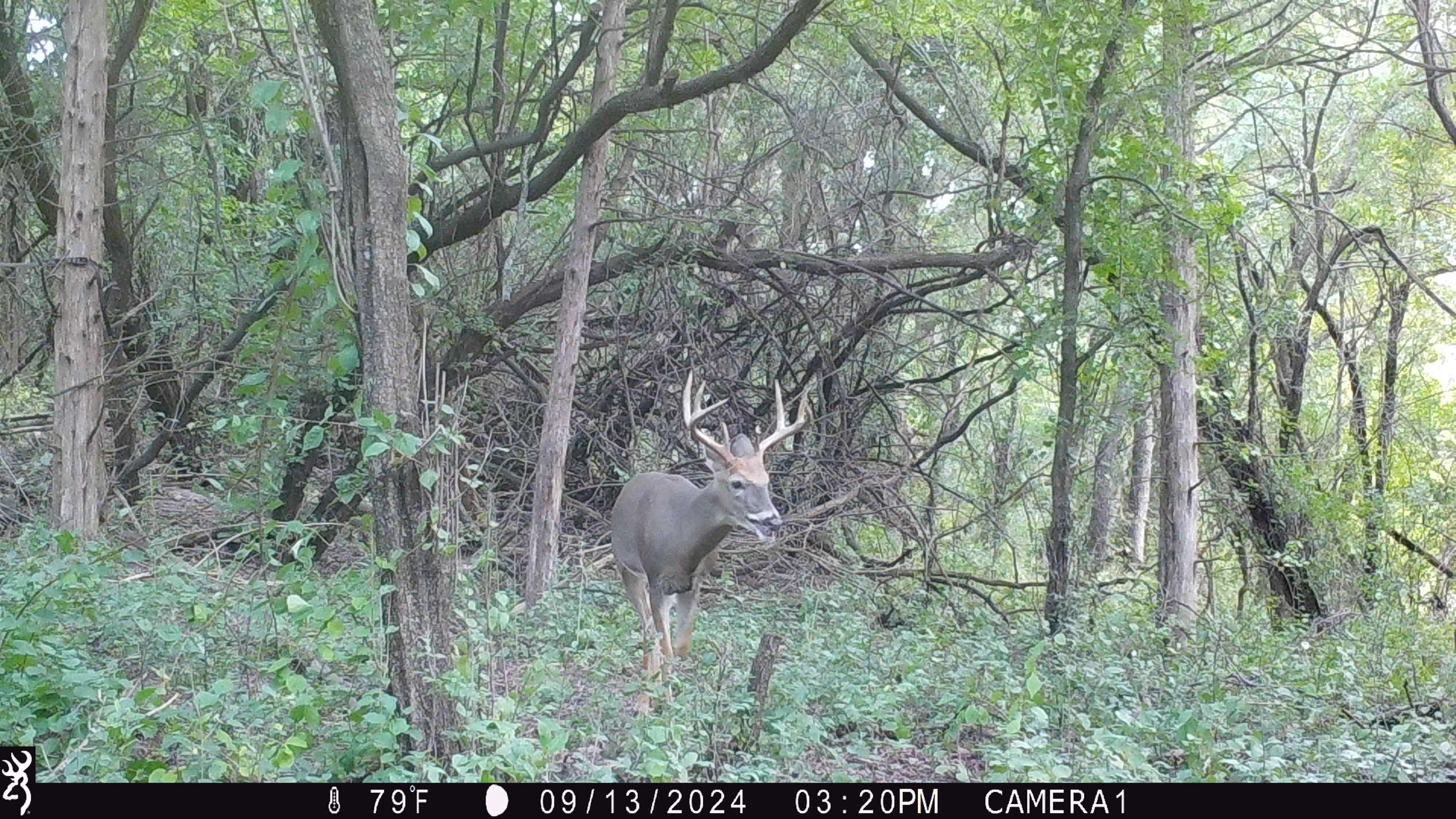 100 Highway 23 Green Lake, WI 54941 - Photo 41 of 59