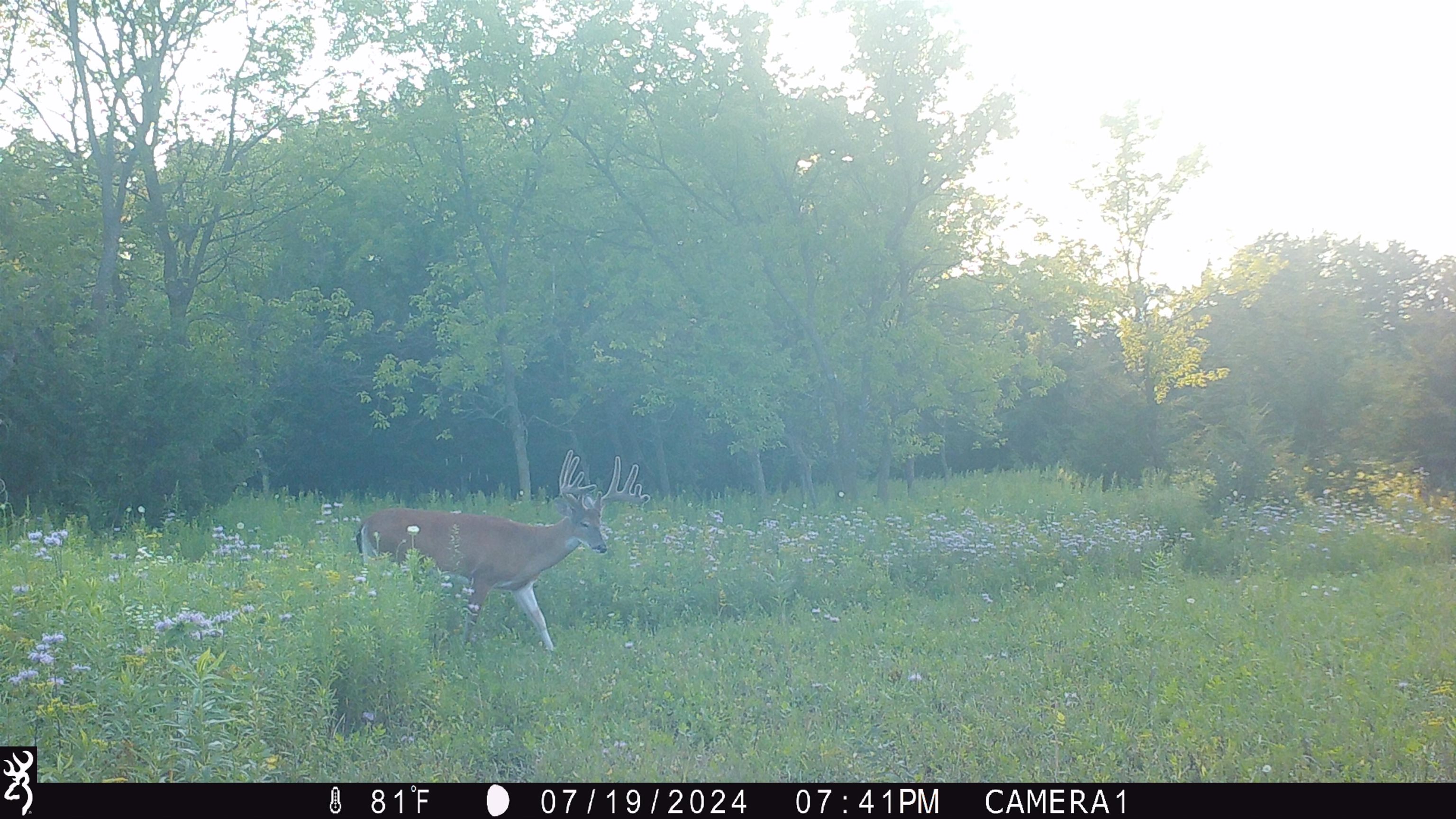 100 Highway 23 Green Lake, WI 54941 - Photo 42 of 59