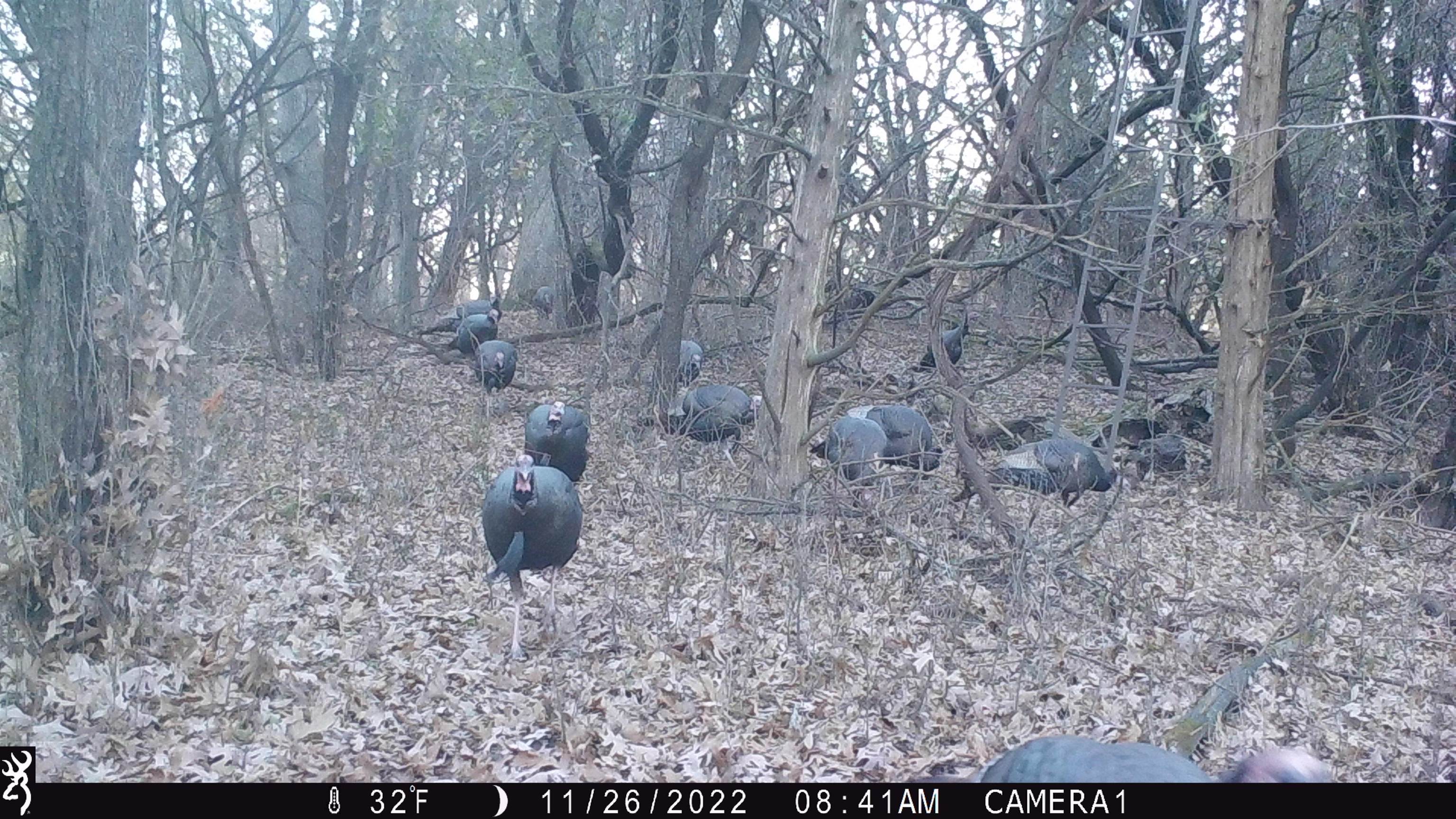 100 Highway 23 Green Lake, WI 54941 - Photo 43 of 59