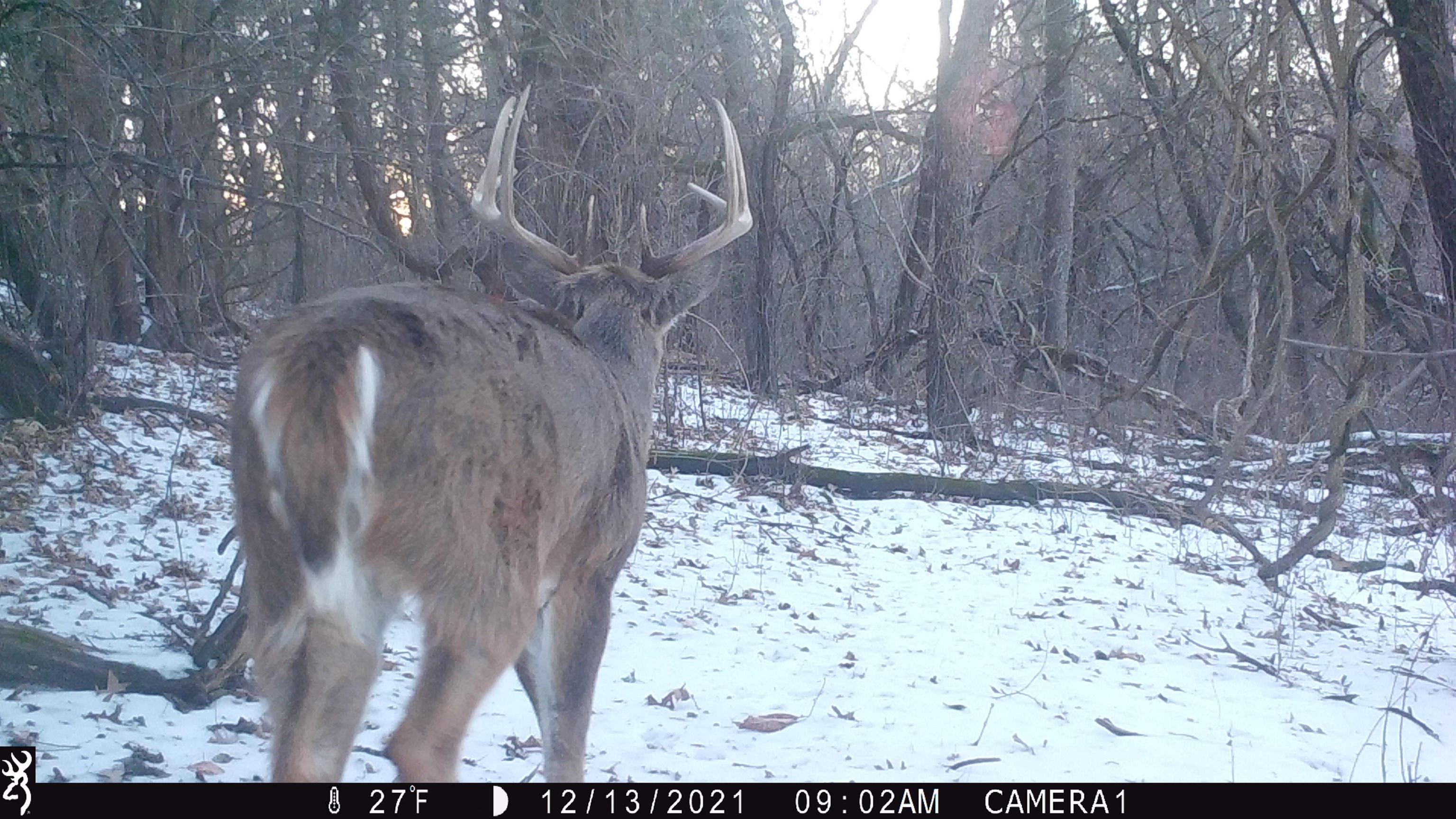 100 Highway 23 Green Lake, WI 54941 - Photo 44 of 59