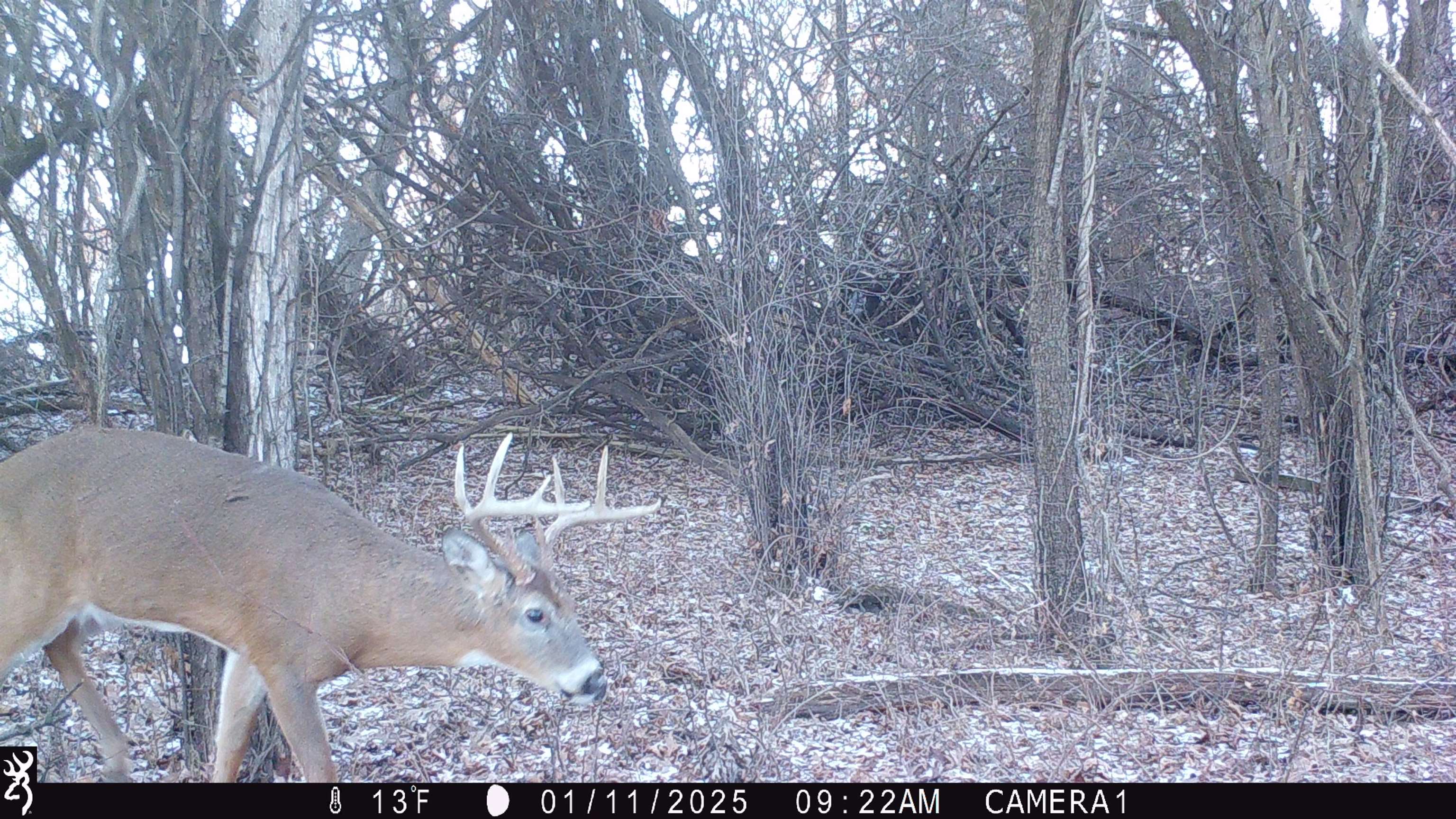 100 Highway 23 Green Lake, WI 54941 - Photo 45 of 59