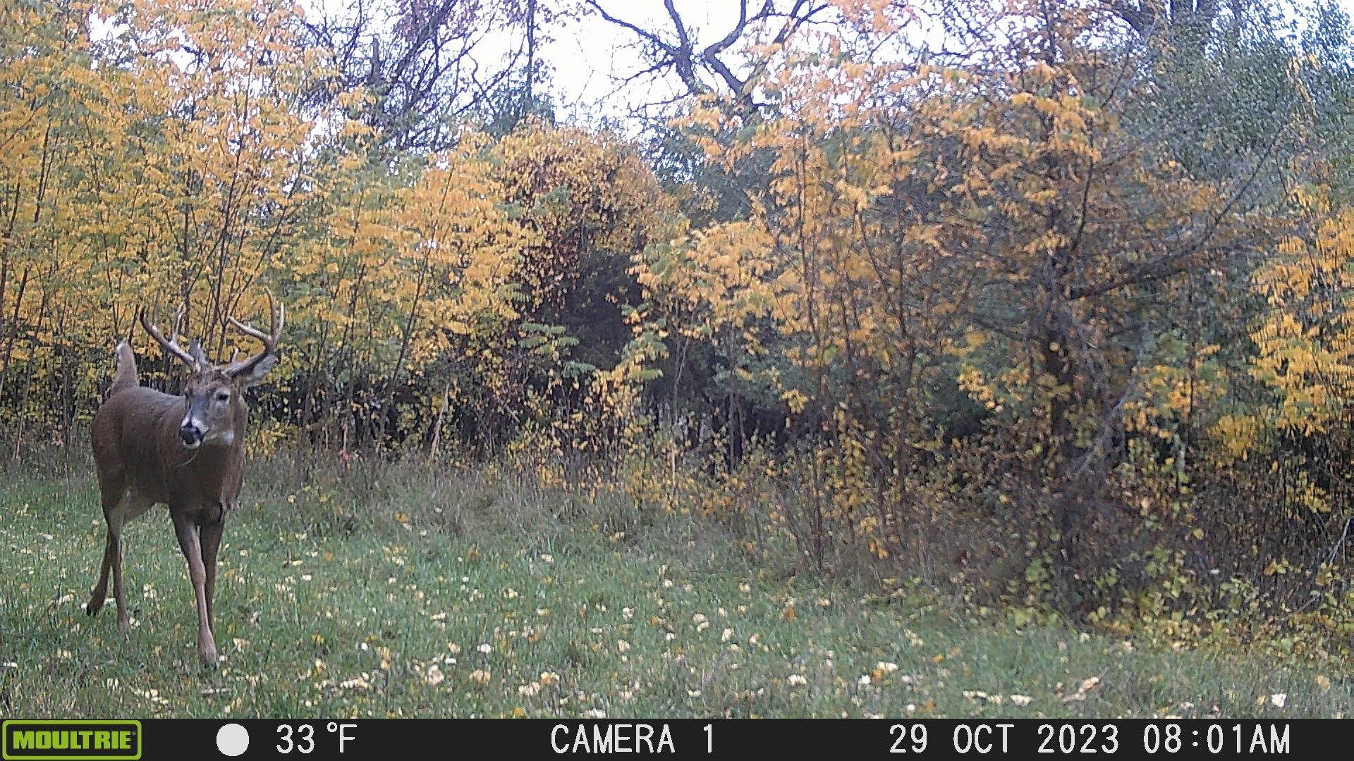 100 Highway 23 Green Lake, WI 54941 - Photo 47 of 59