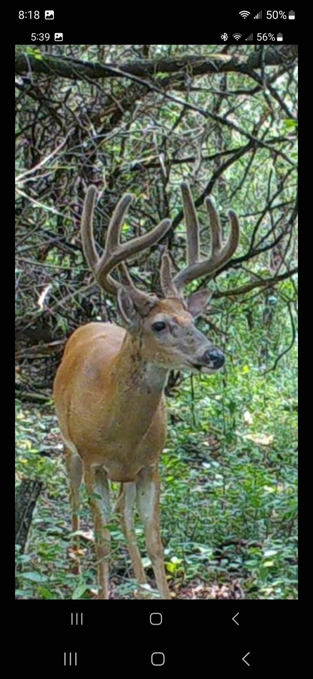 100 Highway 23 Green Lake, WI 54941 - Photo 49 of 59