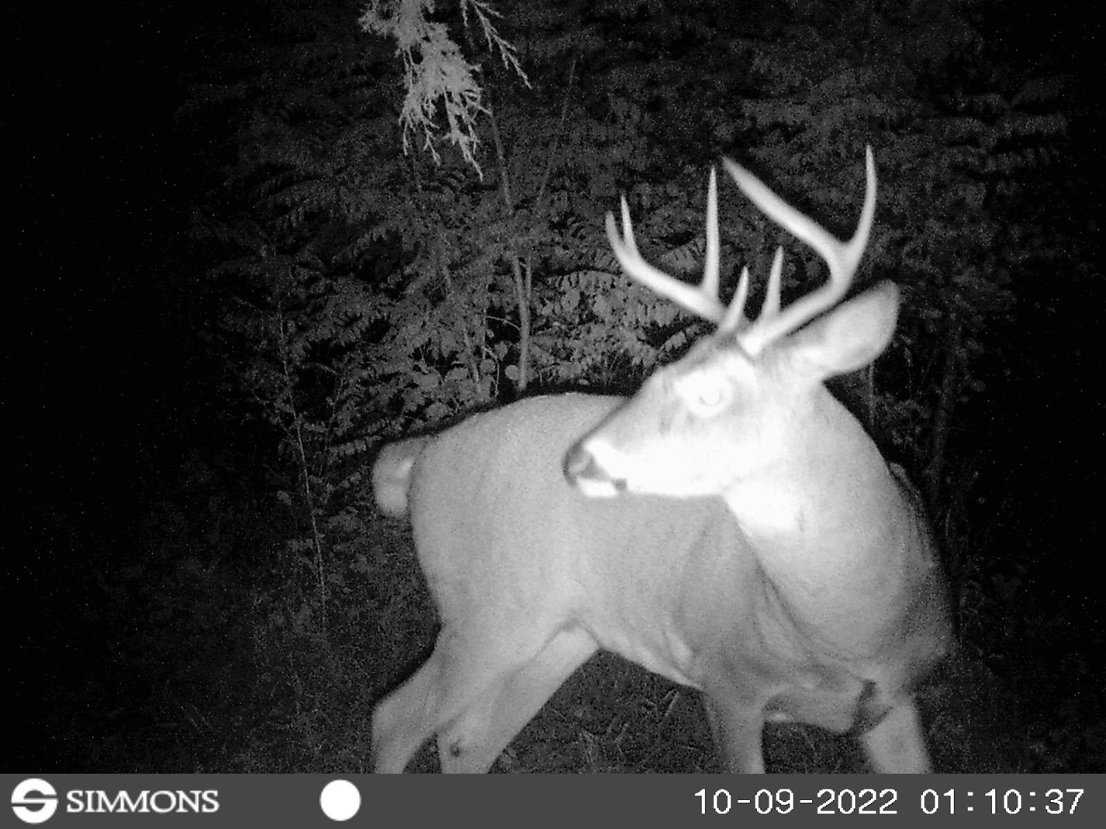 100 Highway 23 Green Lake, WI 54941 - Photo 50 of 59