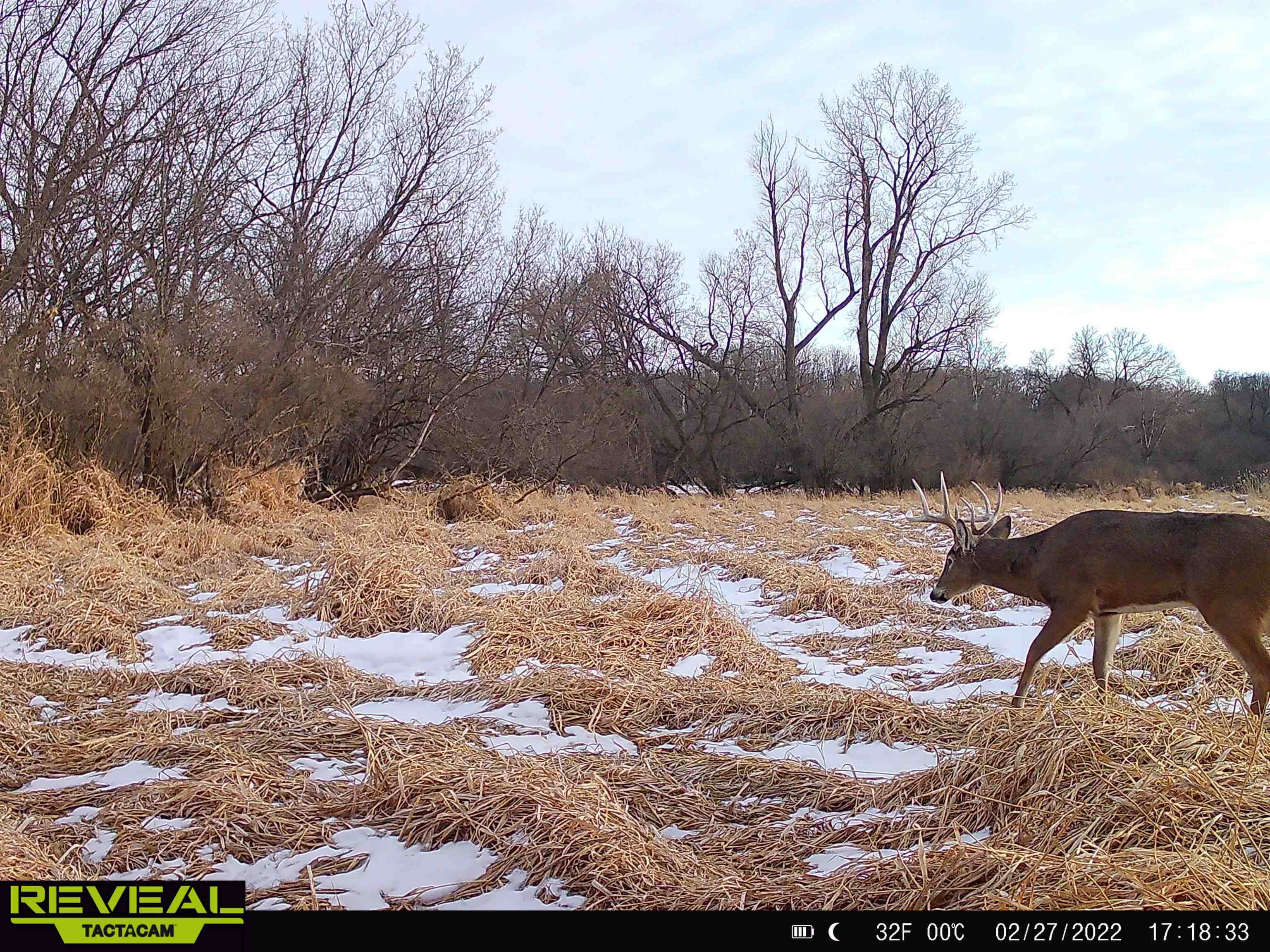100 Highway 23 Green Lake, WI 54941 - Photo 52 of 59