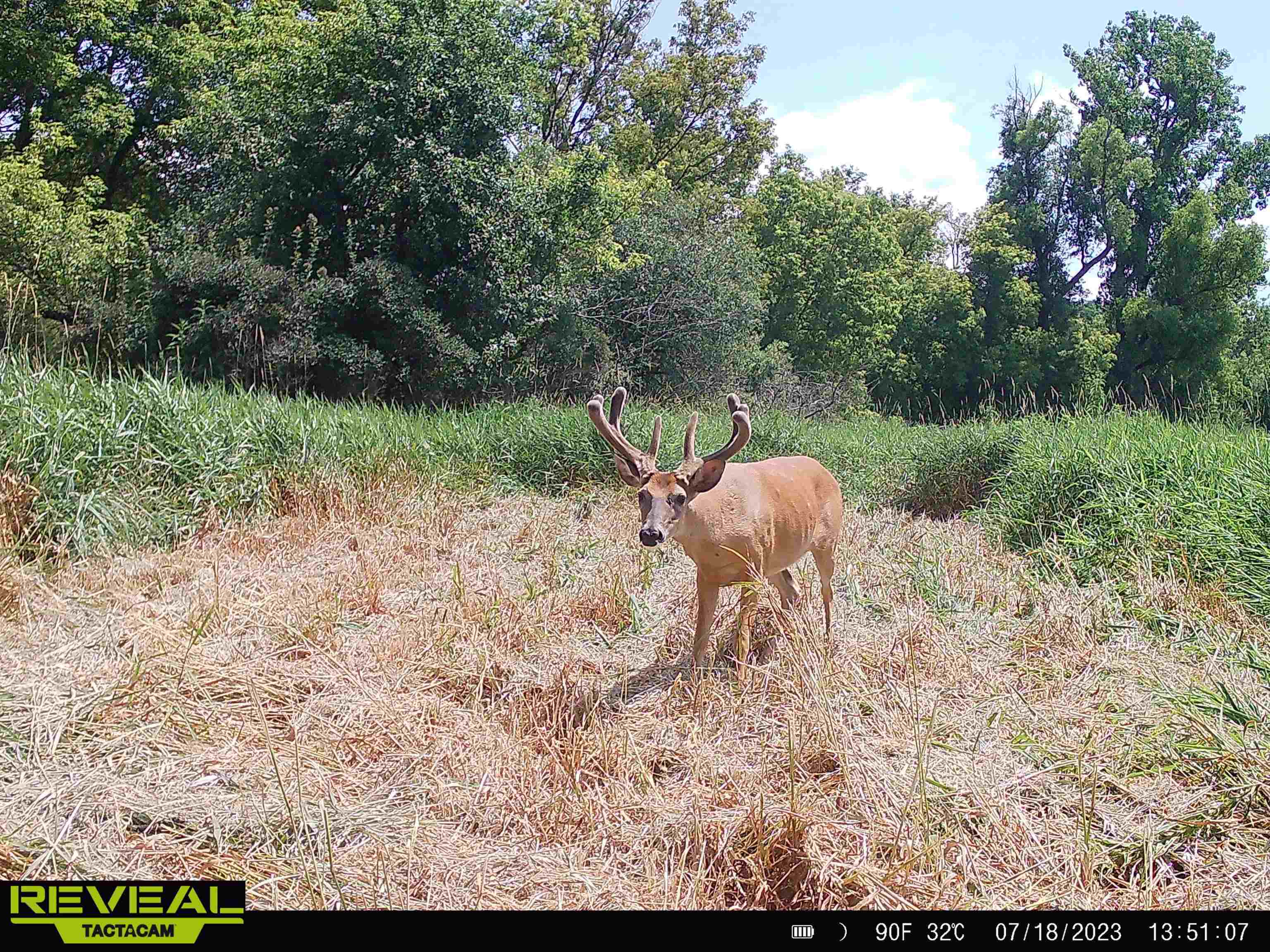 100 Highway 23 Green Lake, WI 54941 - Photo 53 of 59
