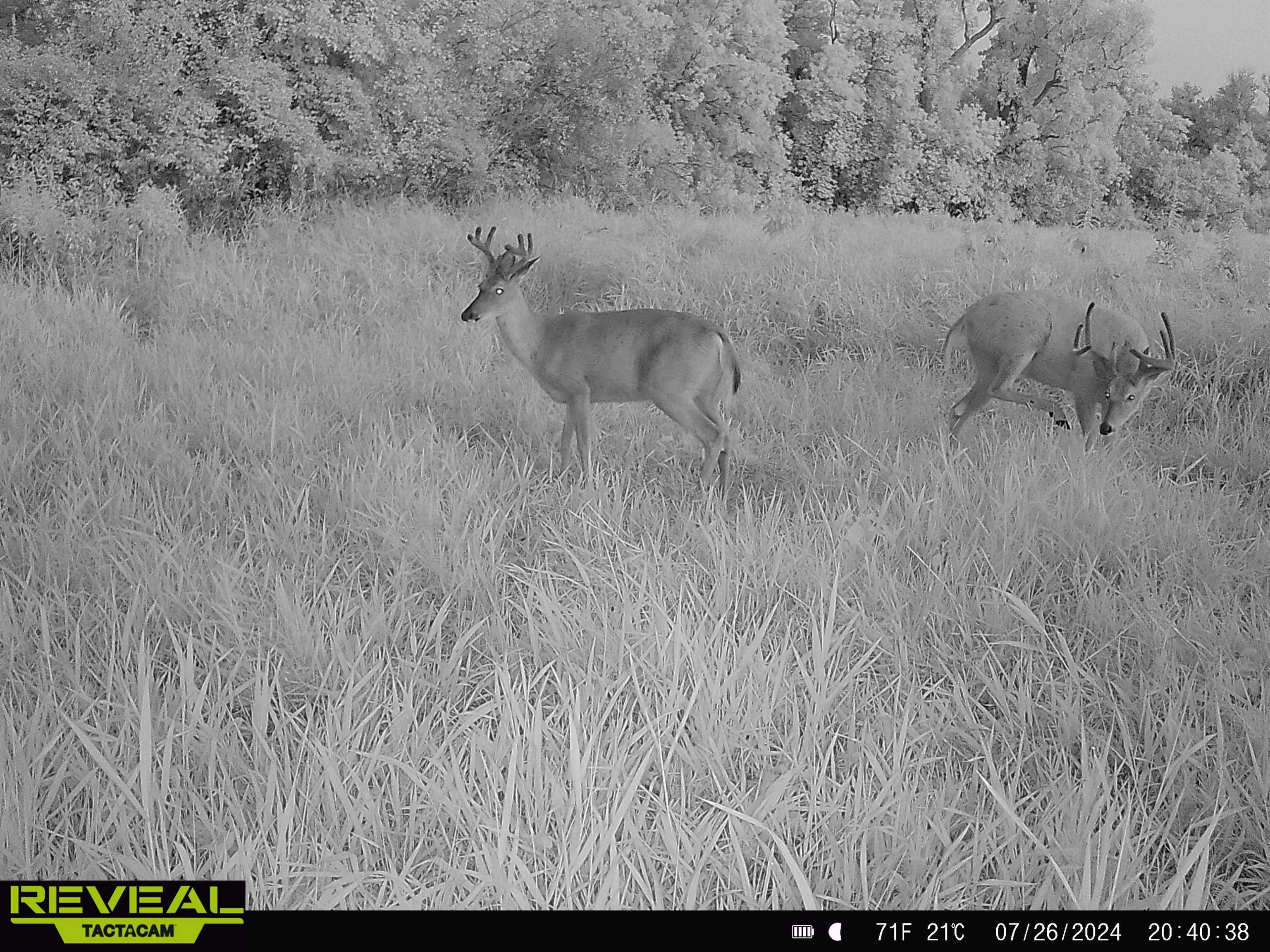 100 Highway 23 Green Lake, WI 54941 - Photo 55 of 59