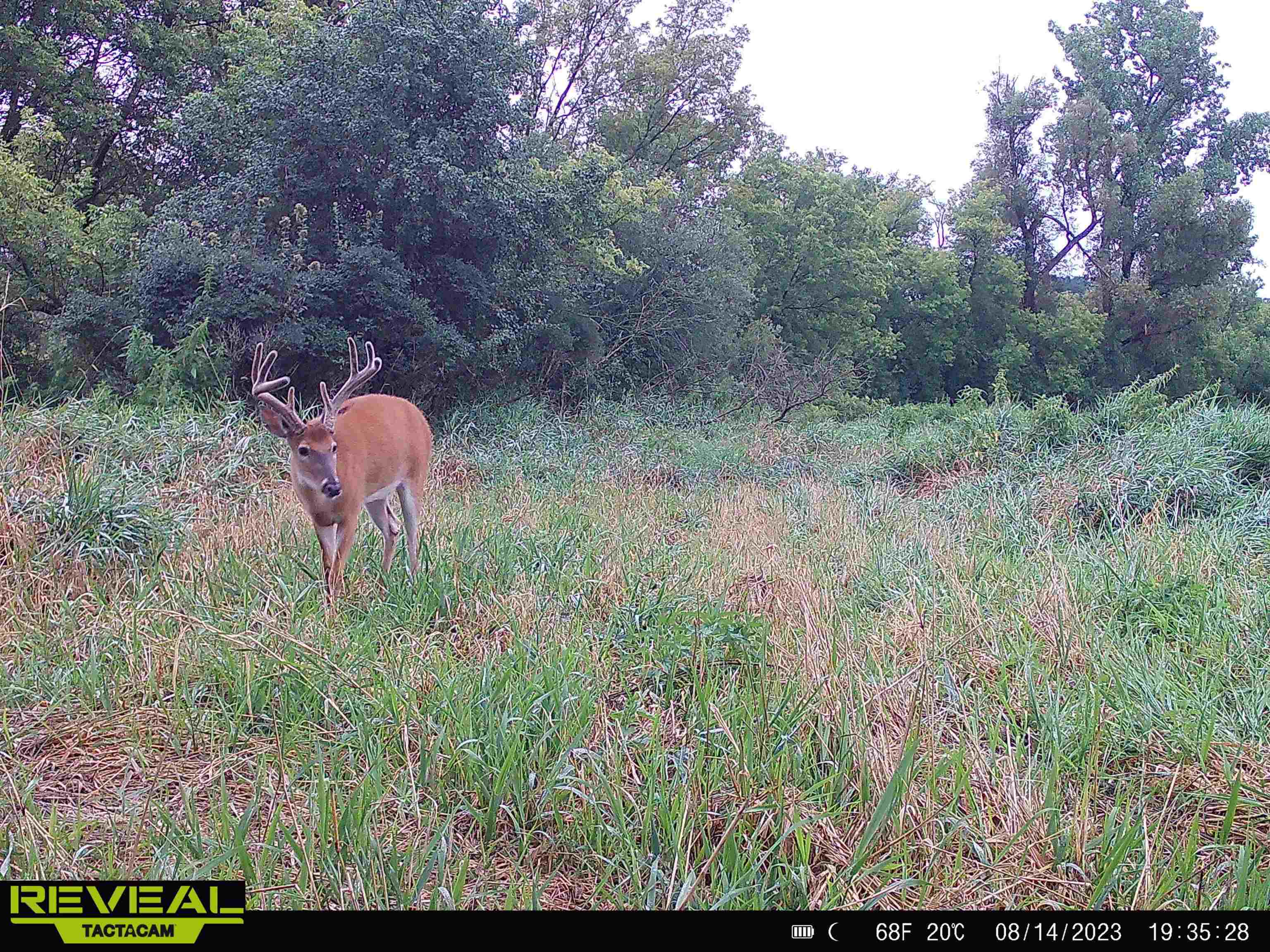 100 Highway 23 Green Lake, WI 54941 - Photo 56 of 59
