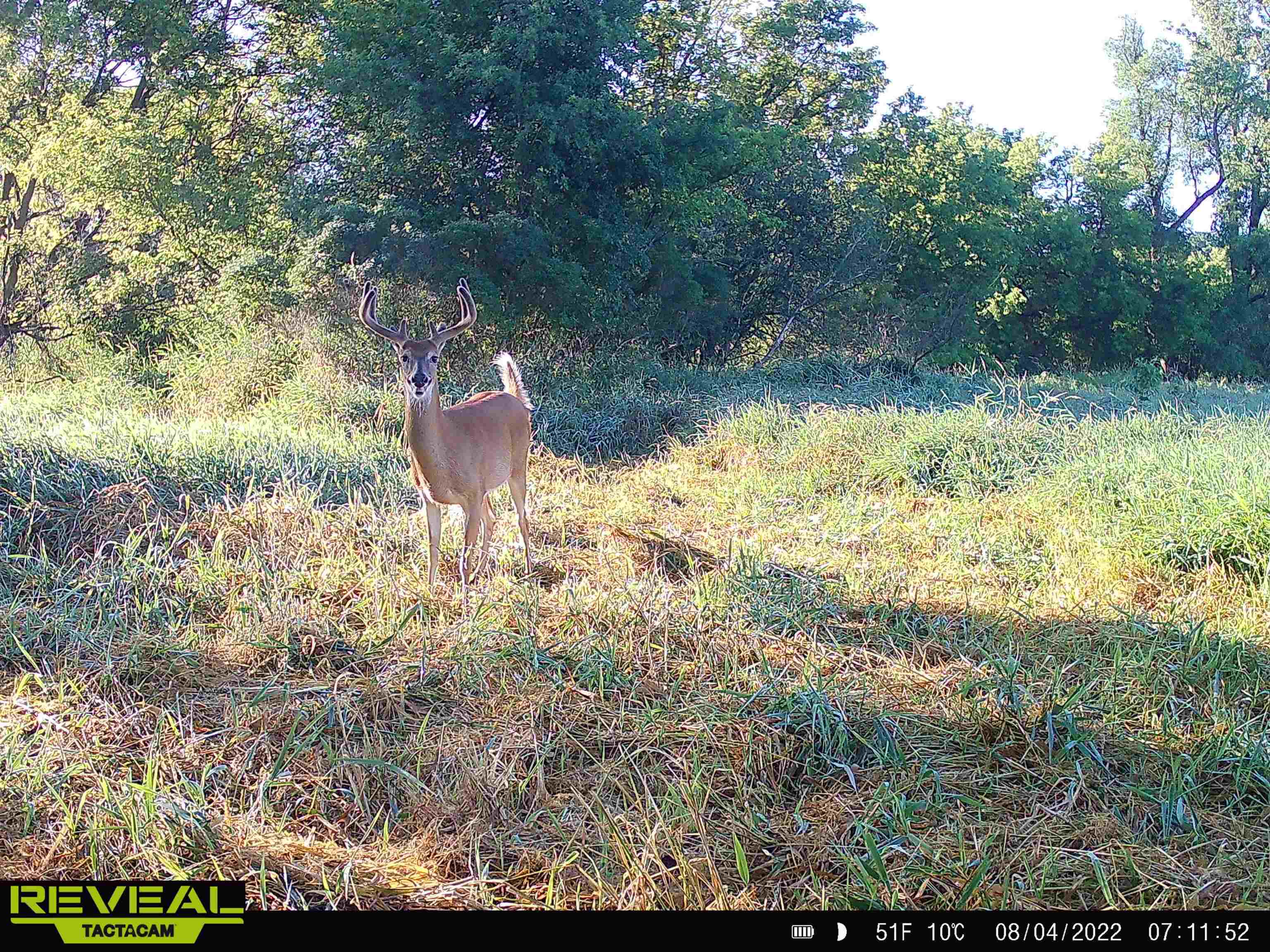 100 Highway 23 Green Lake, WI 54941 - Photo 57 of 59