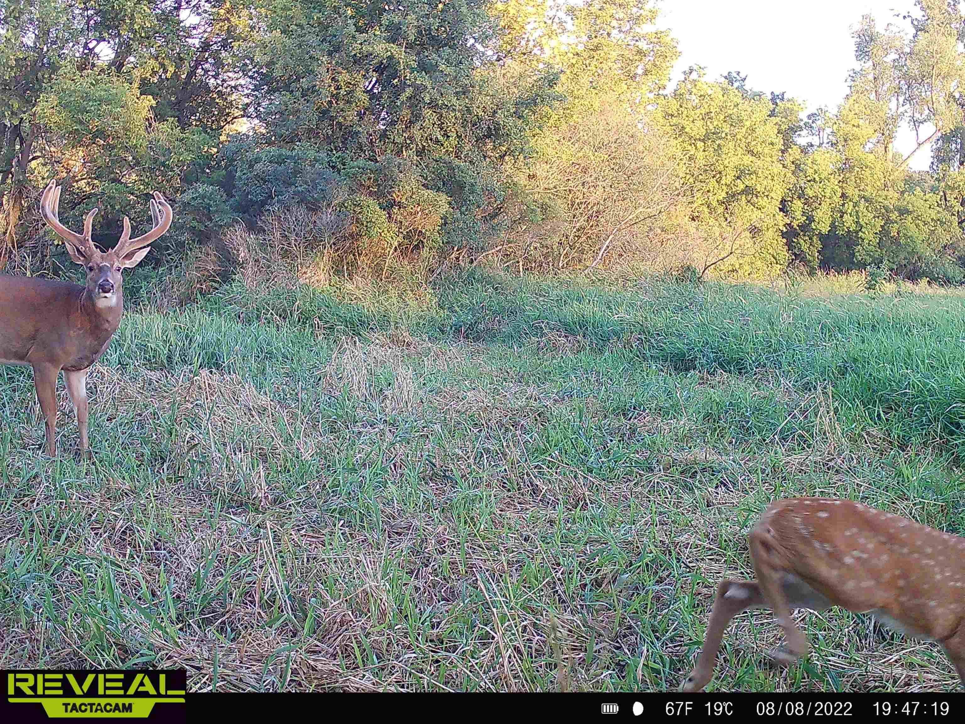 100 Highway 23 Green Lake, WI 54941 - Photo 58 of 59