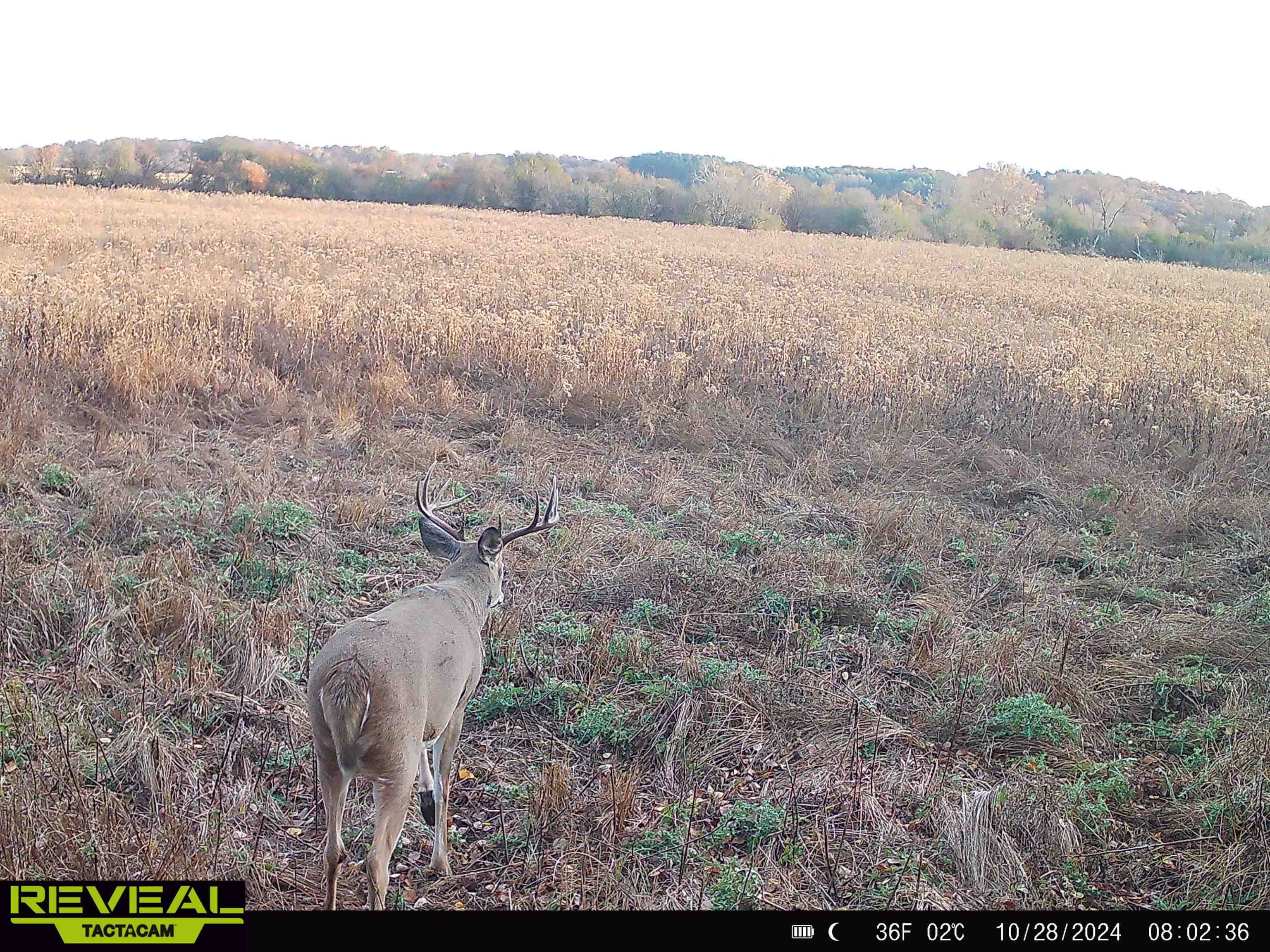 100 Highway 23 Green Lake, WI 54941 - Photo 59 of 59