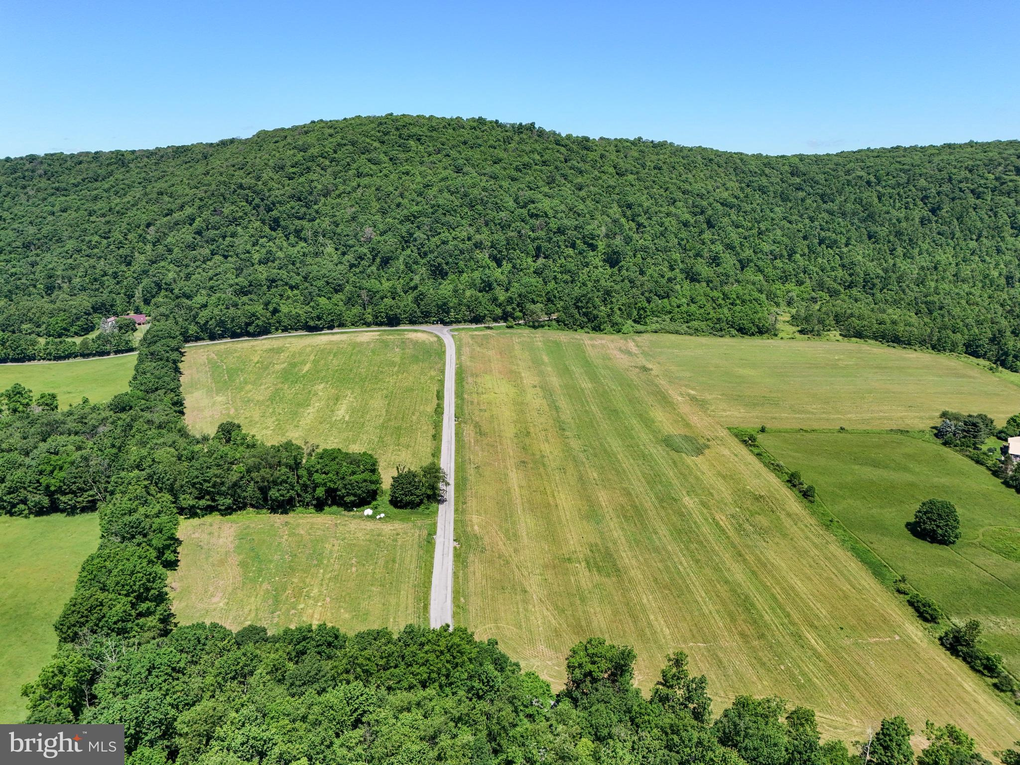 0 Steele Hollow Road Julian, PA 16844 - Photo 13 of 19