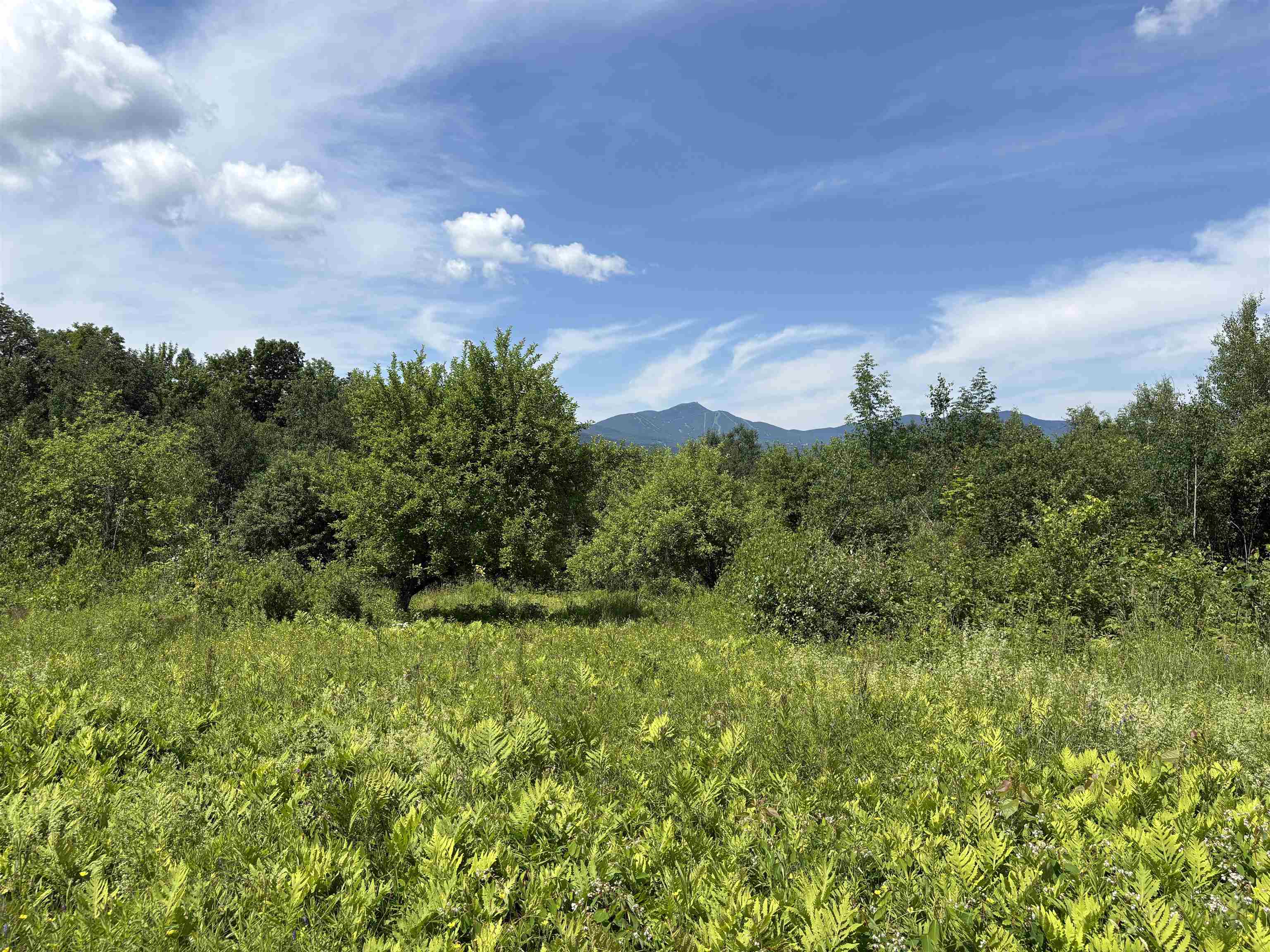 990 Bergeron Road Troy, VT 05859 - Photo 5 of 33