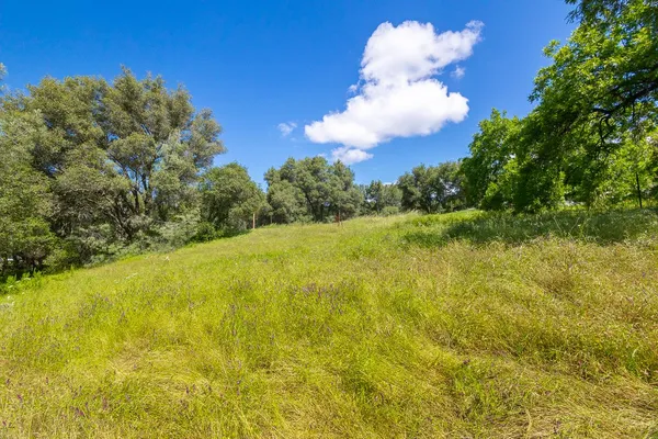 $250,000 | 18590 Burke Drive, Plymouth, CA 95669
