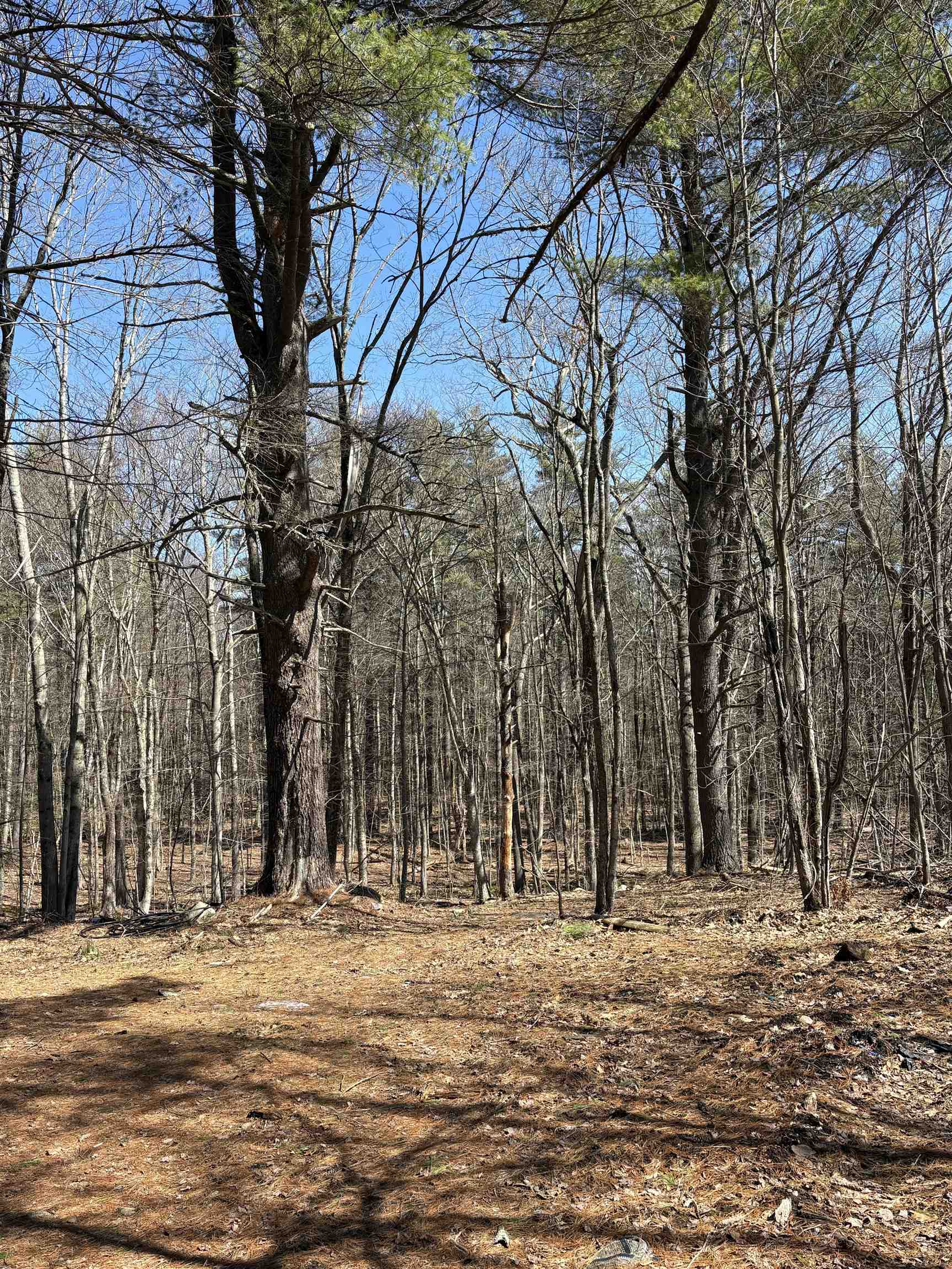 79-1 Currier Road Candia, NH 03034 - Photo 27 of 33