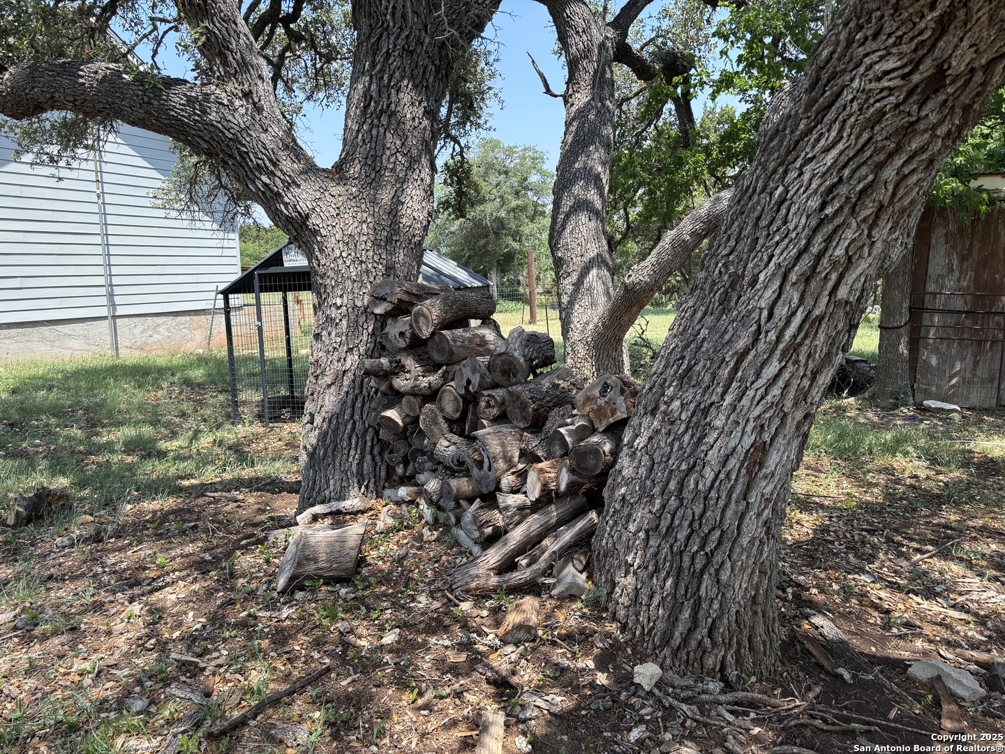725 Lonesome Loop Blanco, TX 78606 - Photo 16 of 26 a view of a tree in a backyard