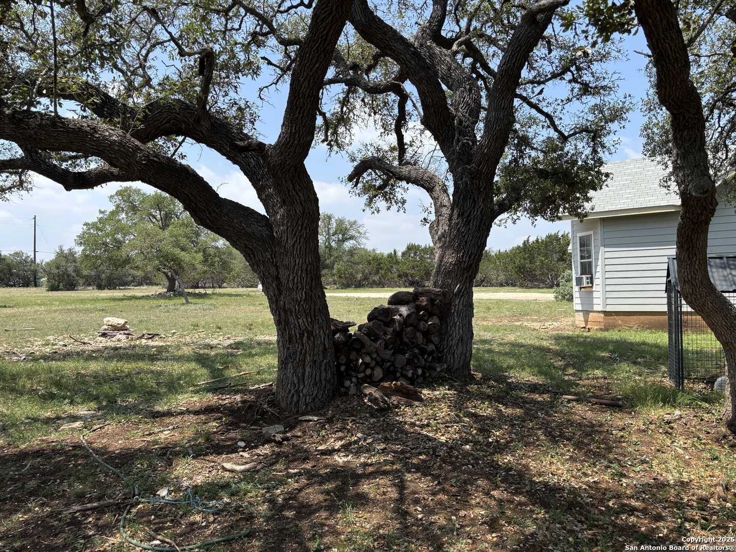 725 Lonesome Loop Blanco, TX 78606 - Photo 17 of 26 a view of a yard with a tree