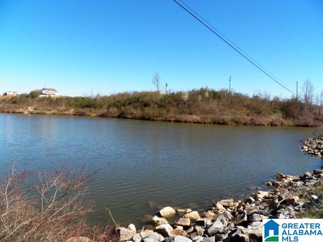 53 Eagle Cove Road, Unit 2 Ohatchee, AL 36271 - Photo 11 of 19