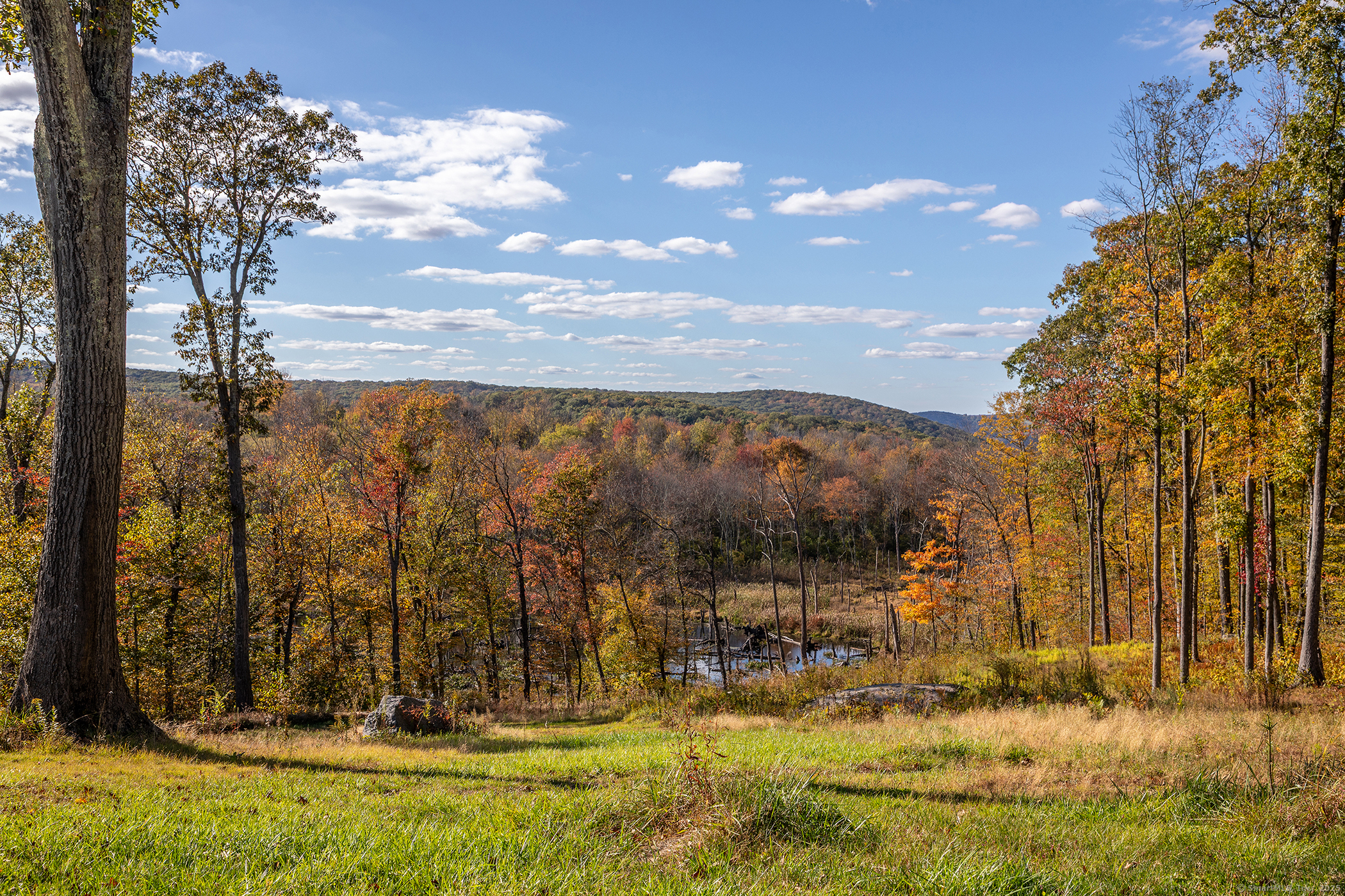 8 Bobcat Lane Warren, CT 06754 - Photo 23 of 40 a view of outdoor space with garden and trees