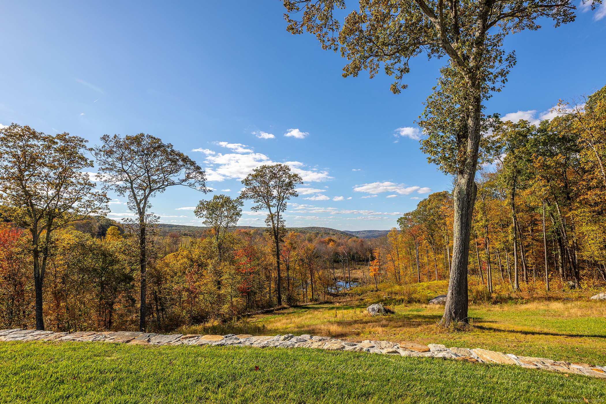 8 Bobcat Lane Warren, CT 06754 - Photo 39 of 40 a view of a yard with an trees