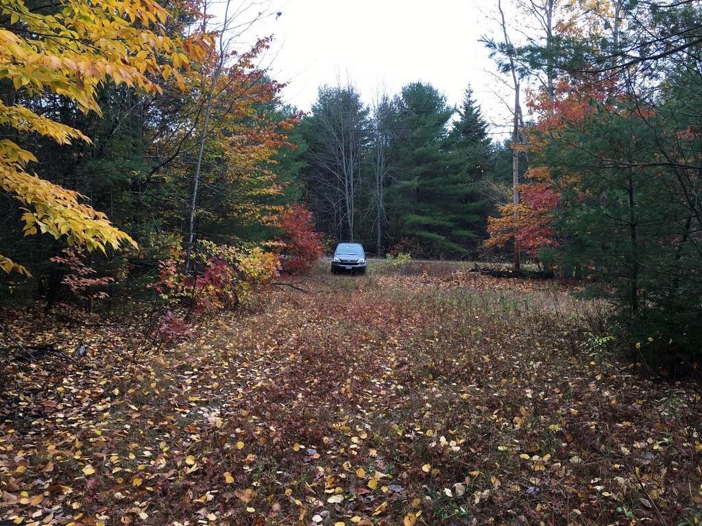 Lot 16 Clark Road Kenduskeag, ME 04450 - Photo 3 of 8 20180818045023649151000000-o